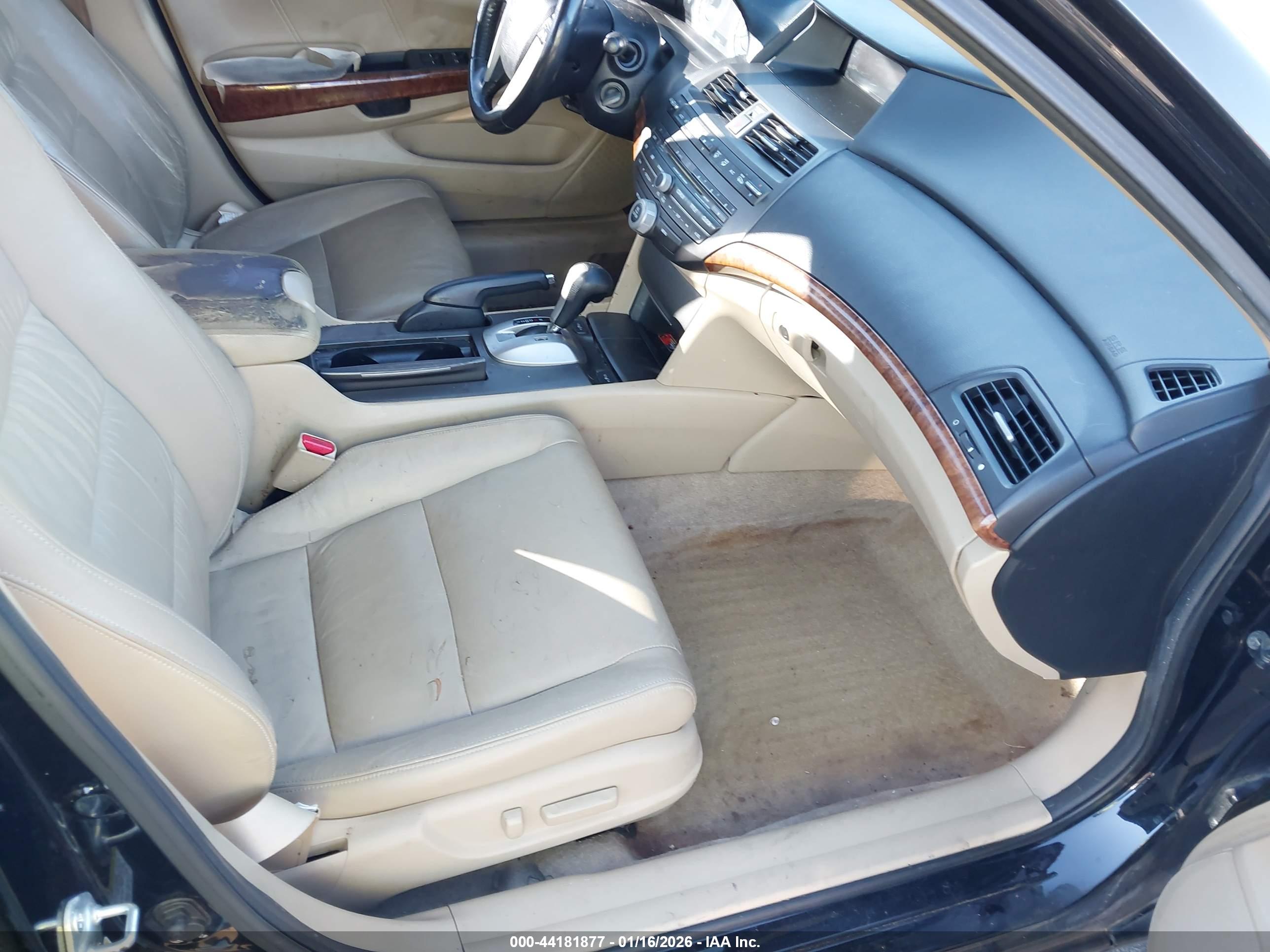 HONDA ACCORD image 5