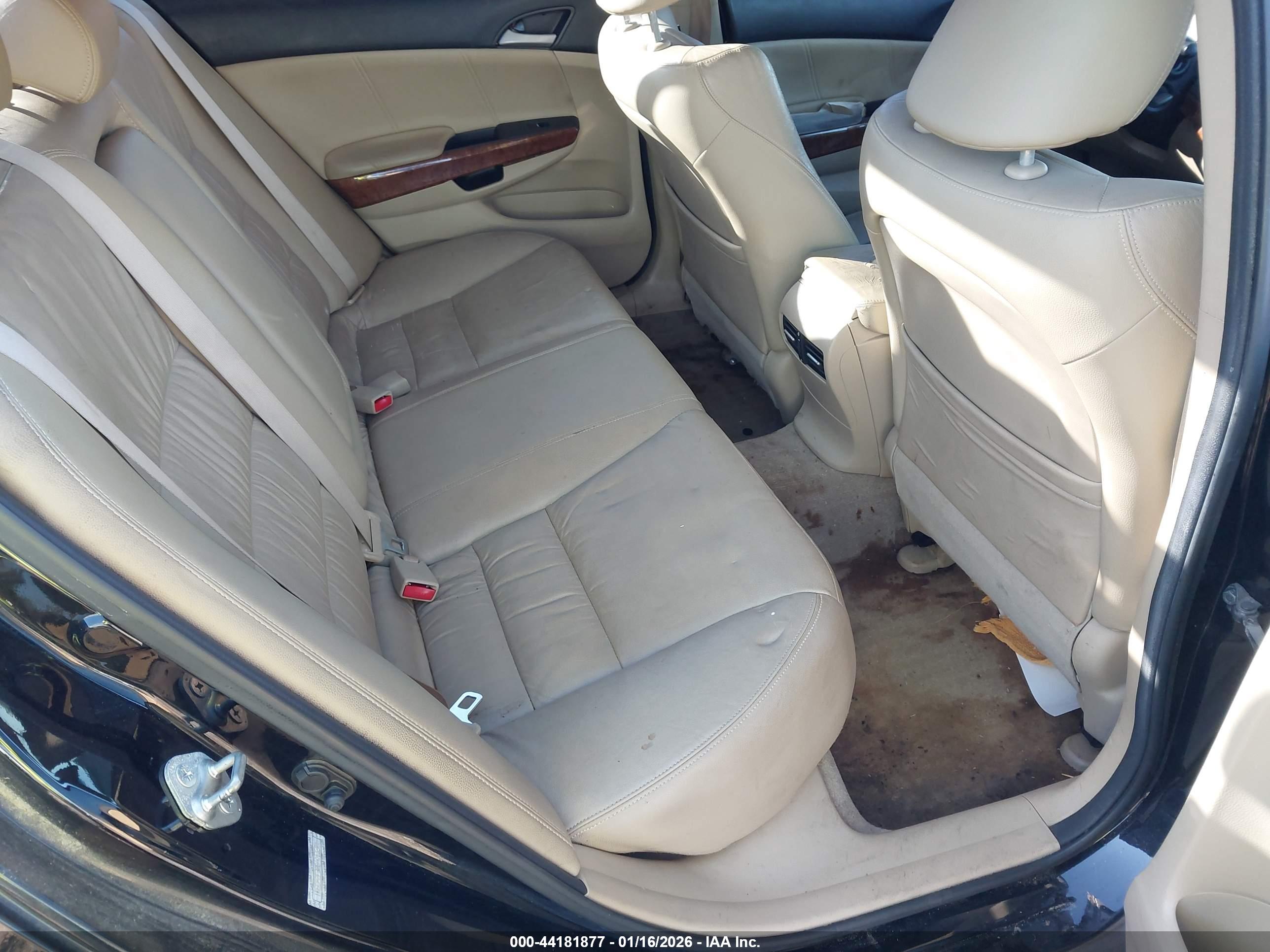 HONDA ACCORD image 8