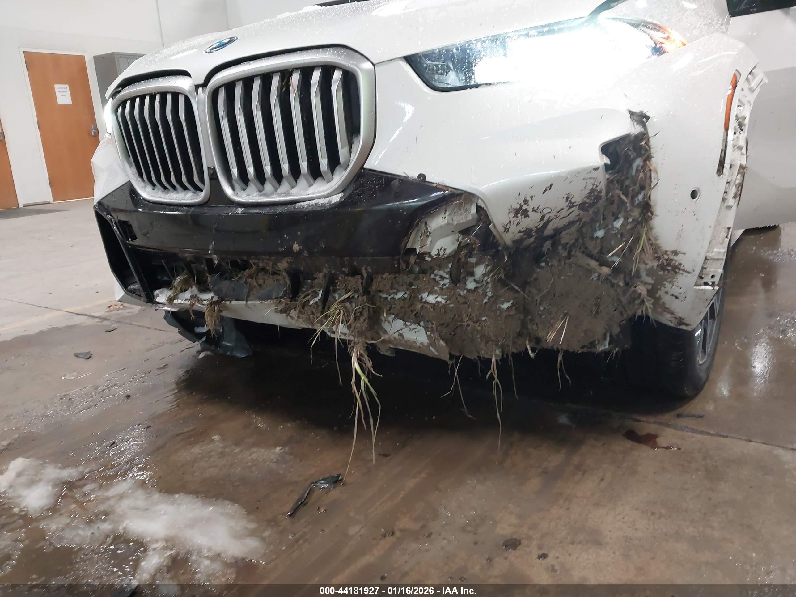 BMW X5 image 6