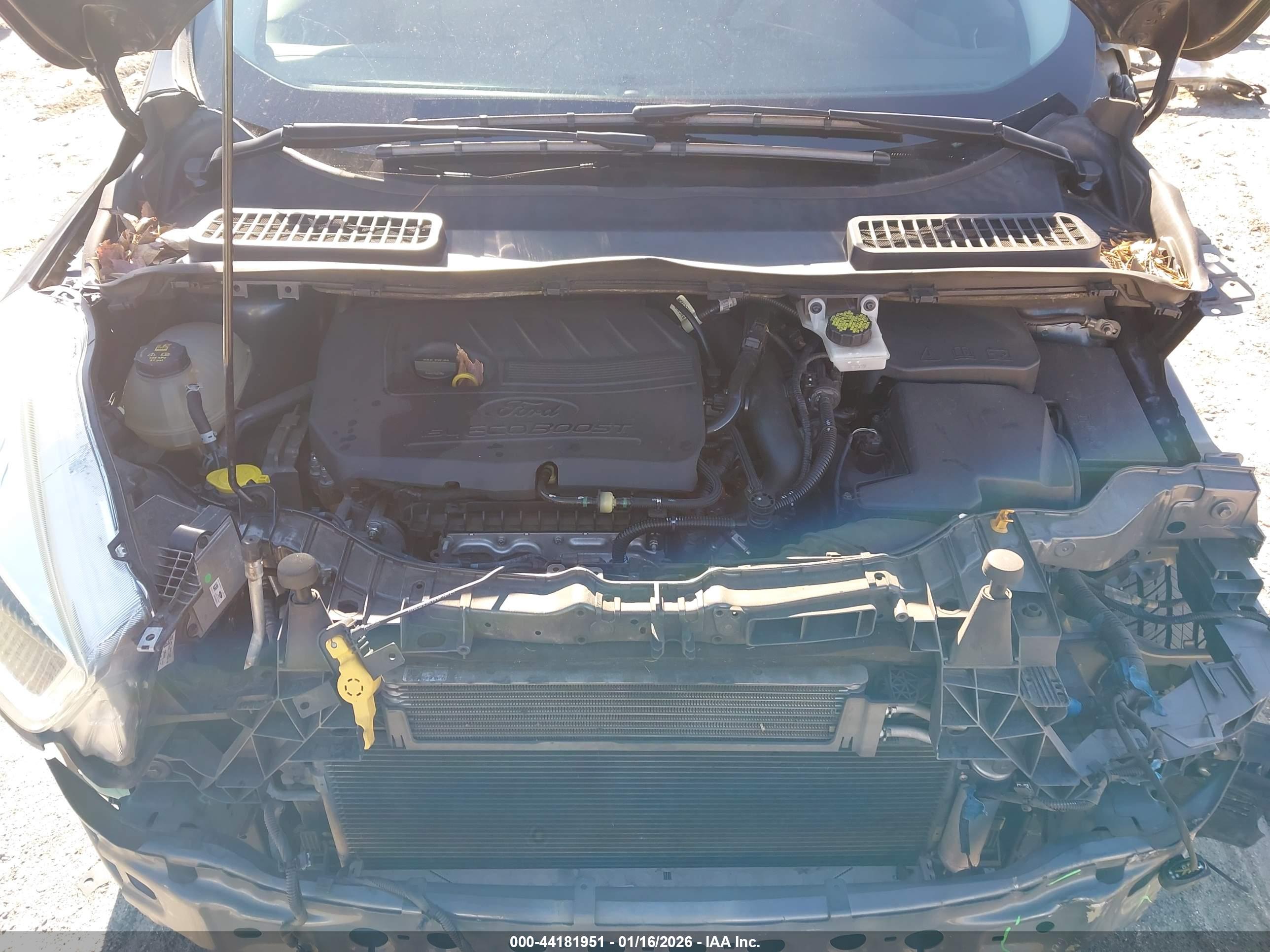 FORD ESCAPE image 10