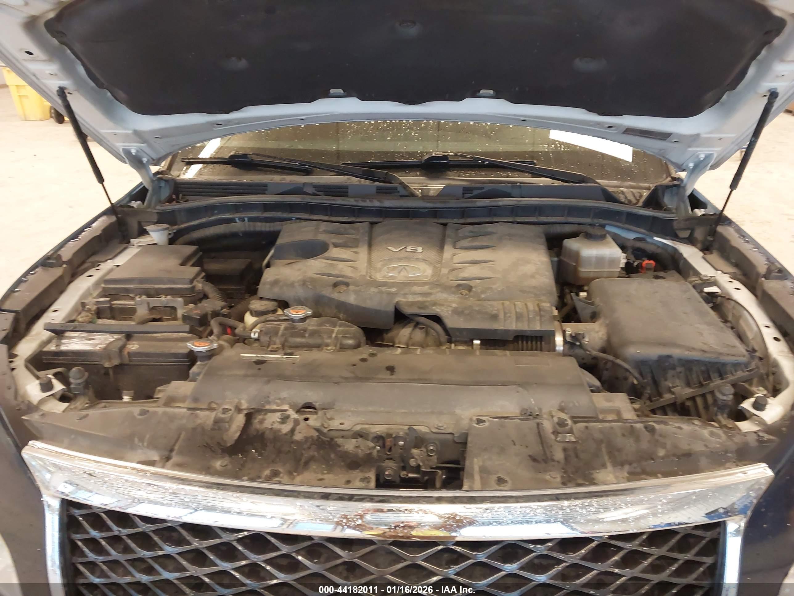 INFINITI QX80 image 10