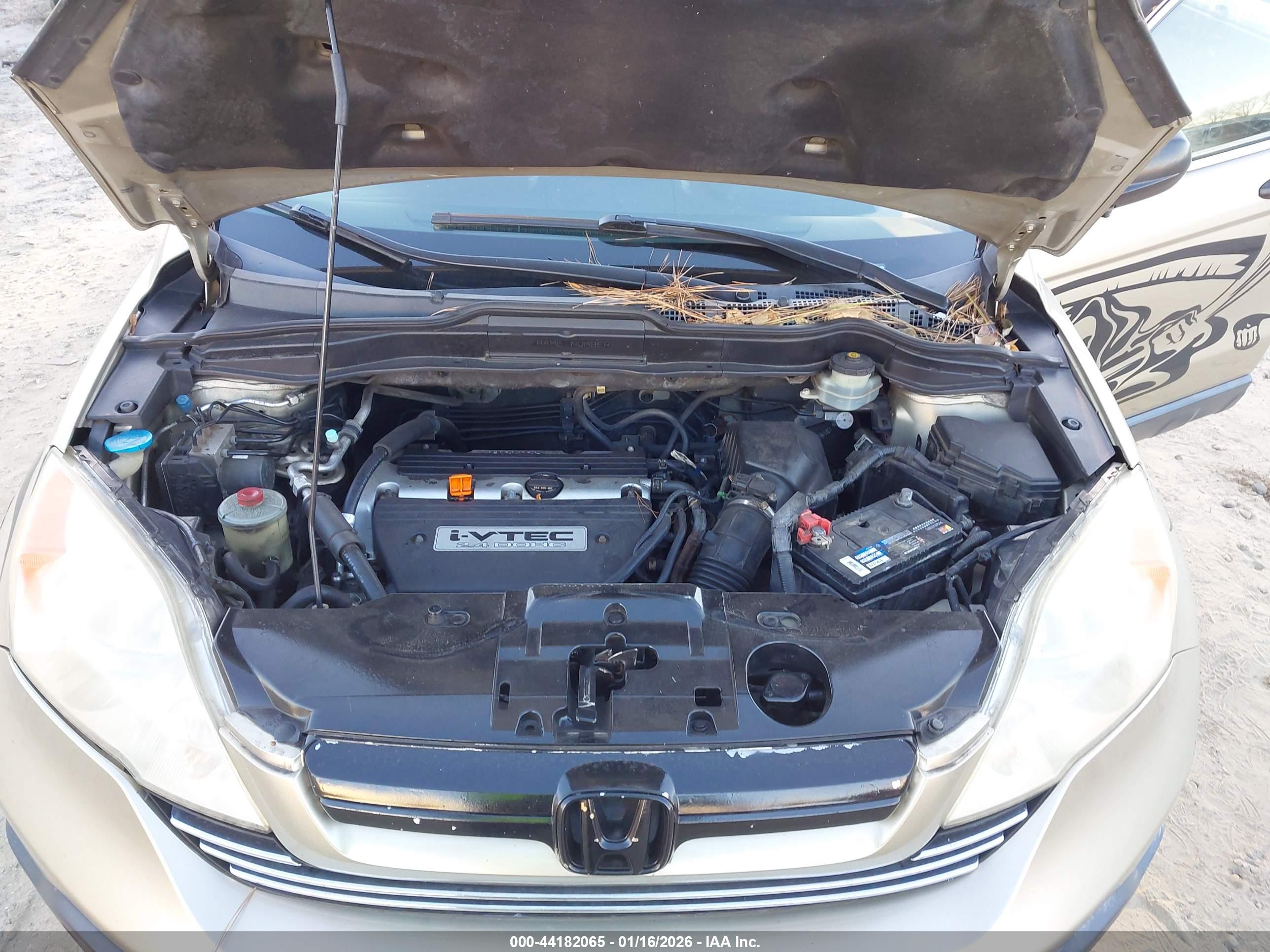 HONDA CR-V image 10