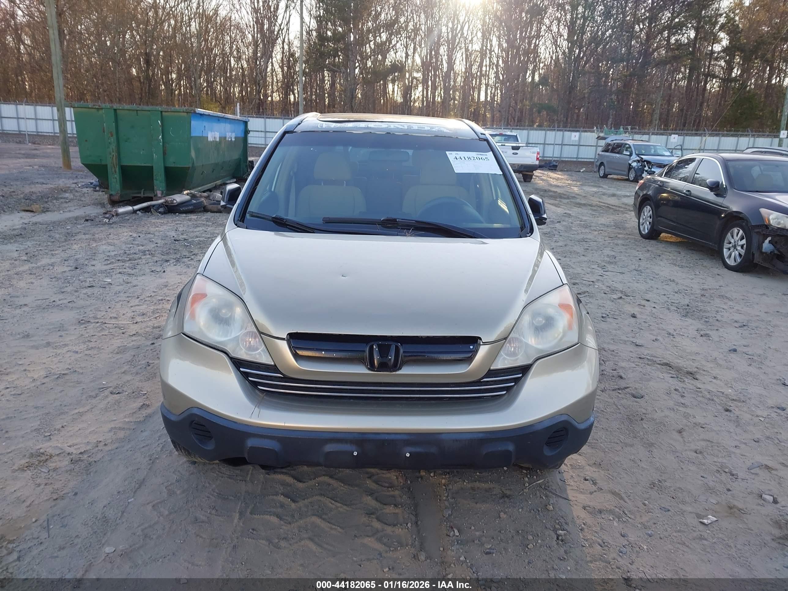 HONDA CR-V image 6