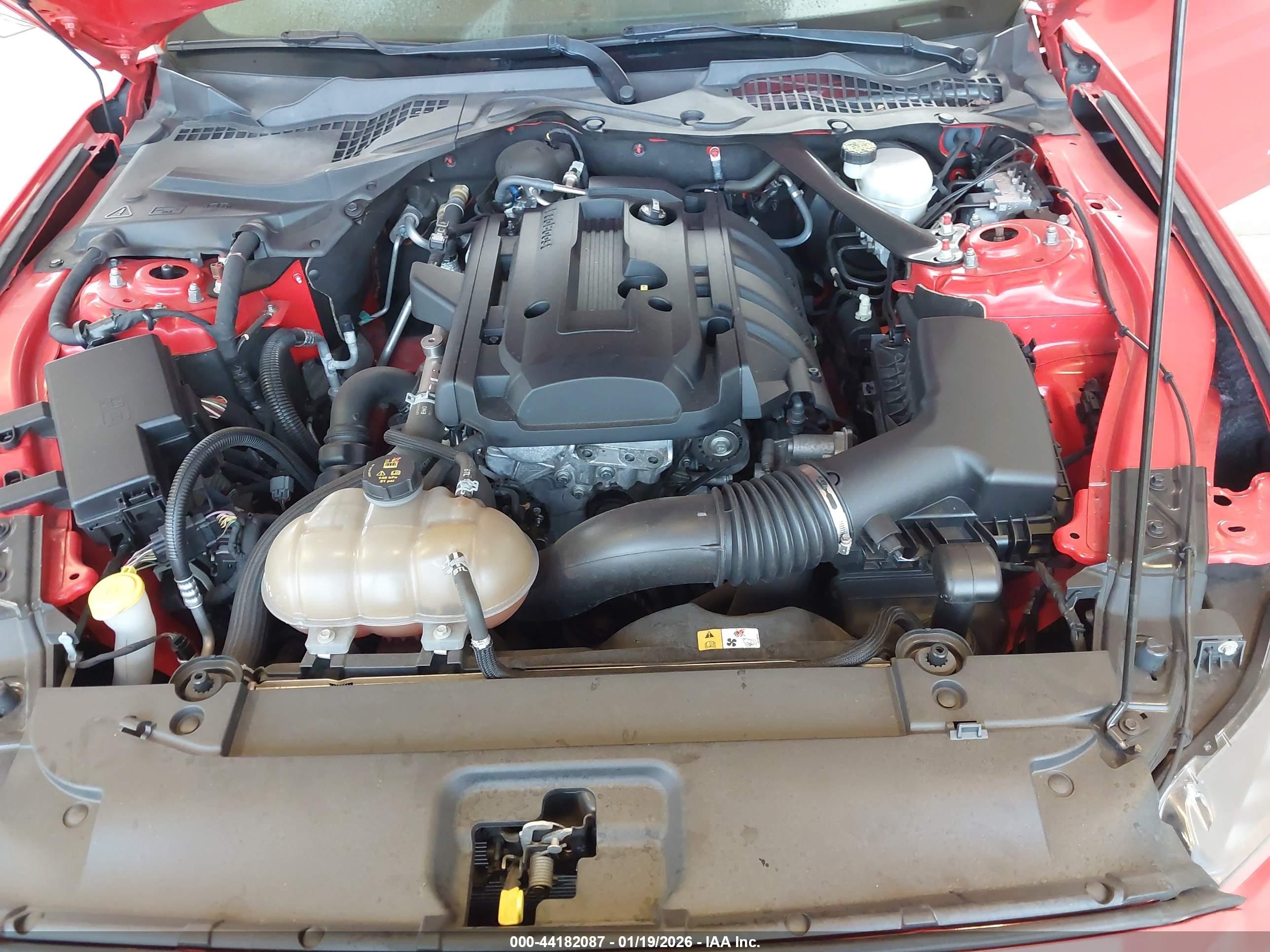 FORD MUSTANG image 10