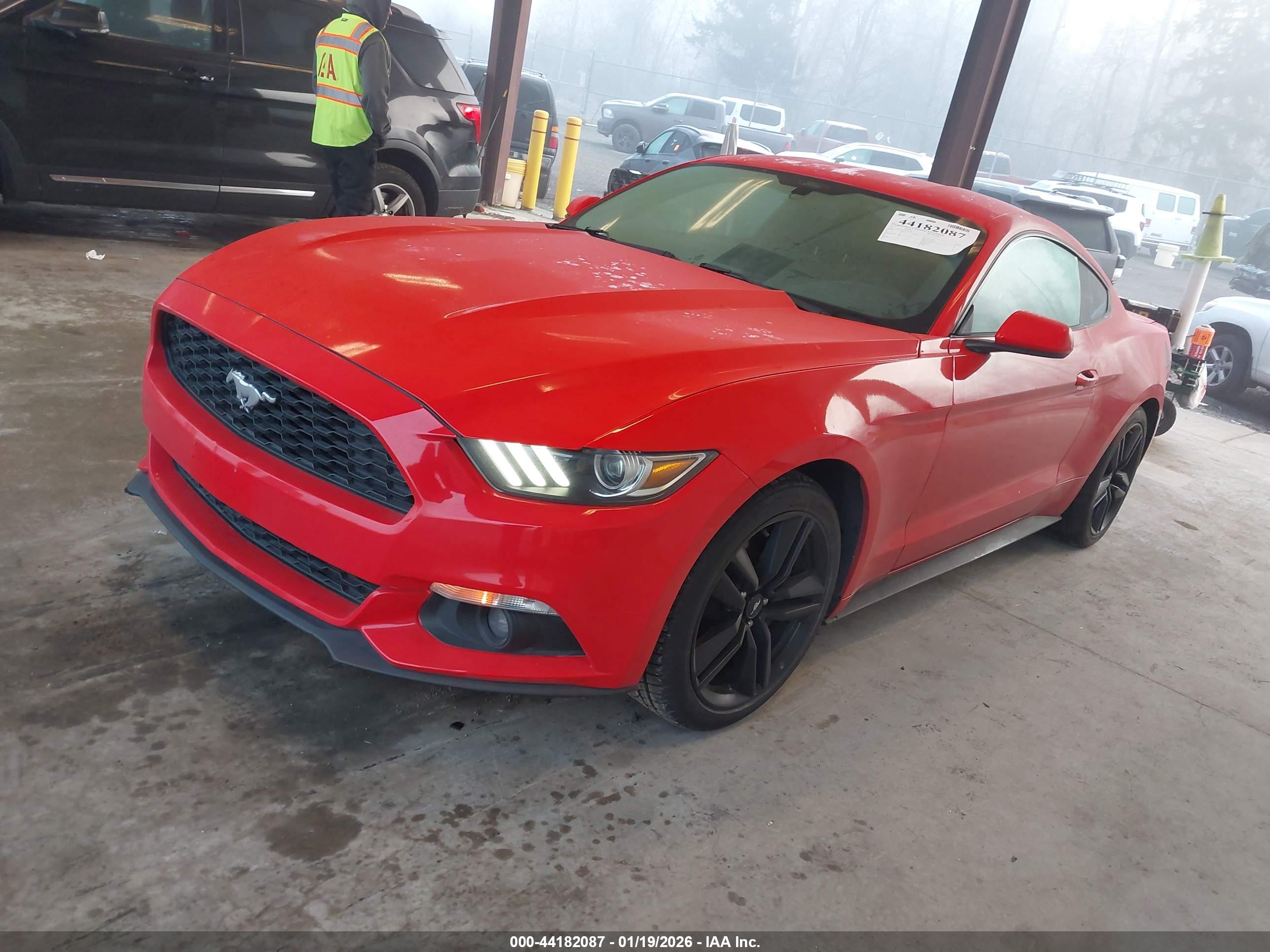 FORD MUSTANG image 2