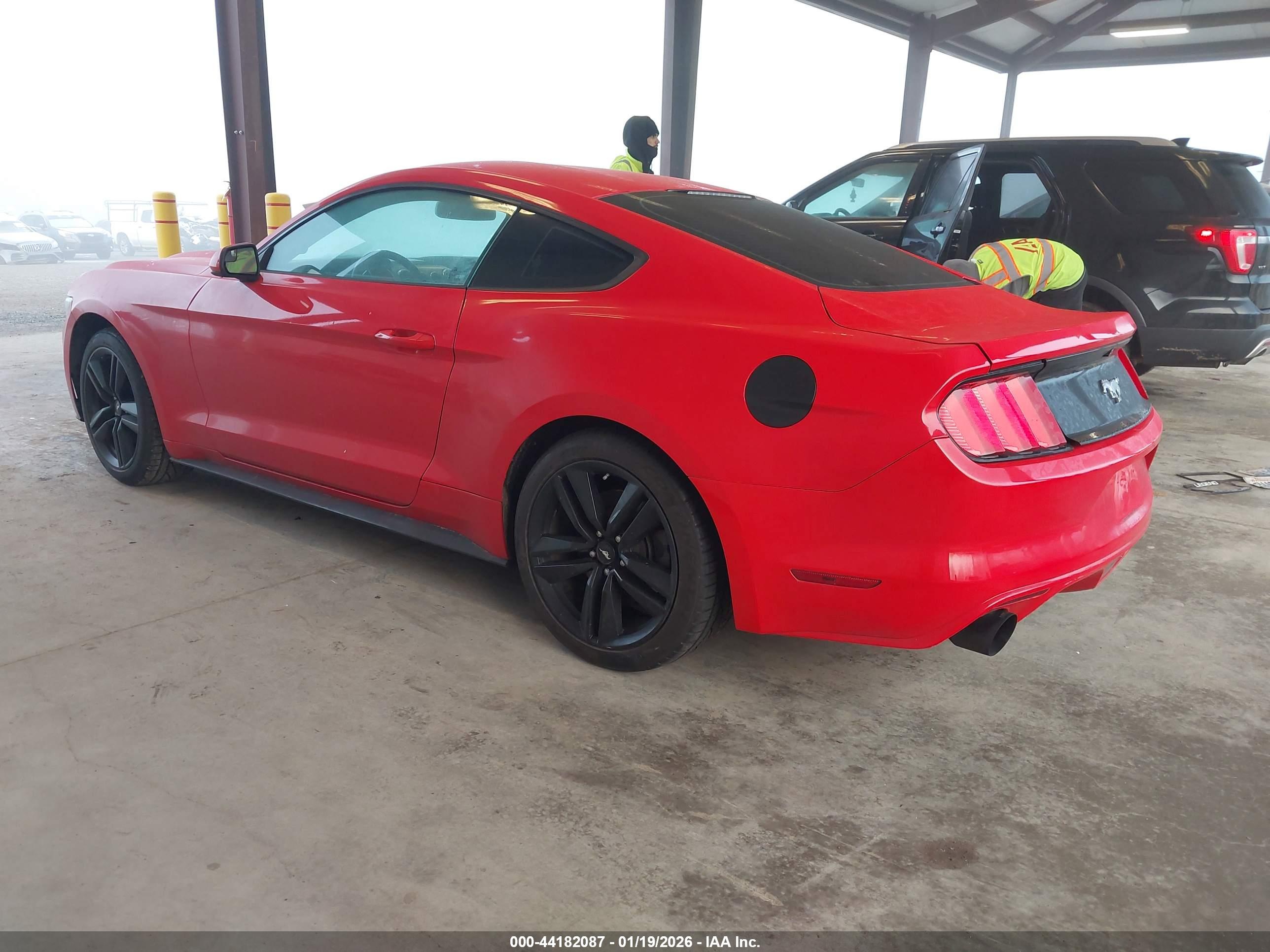 FORD MUSTANG image 3