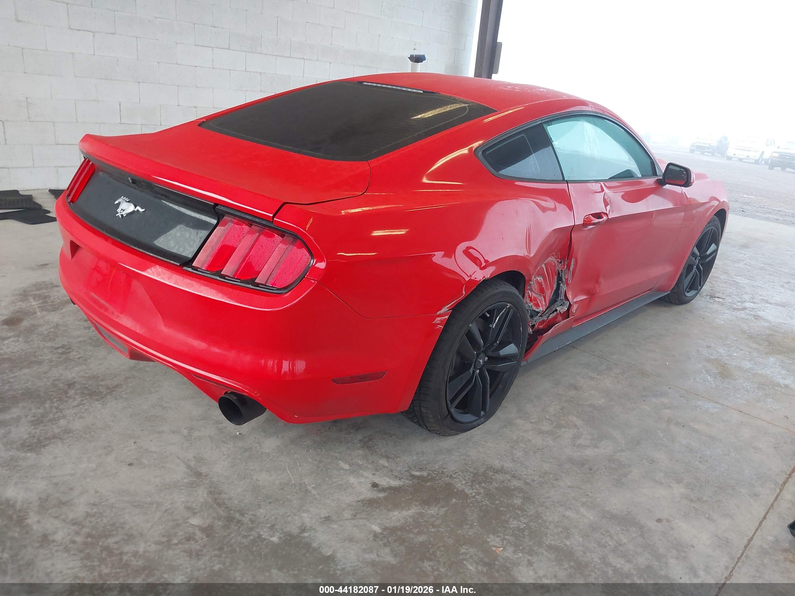 FORD MUSTANG image 4