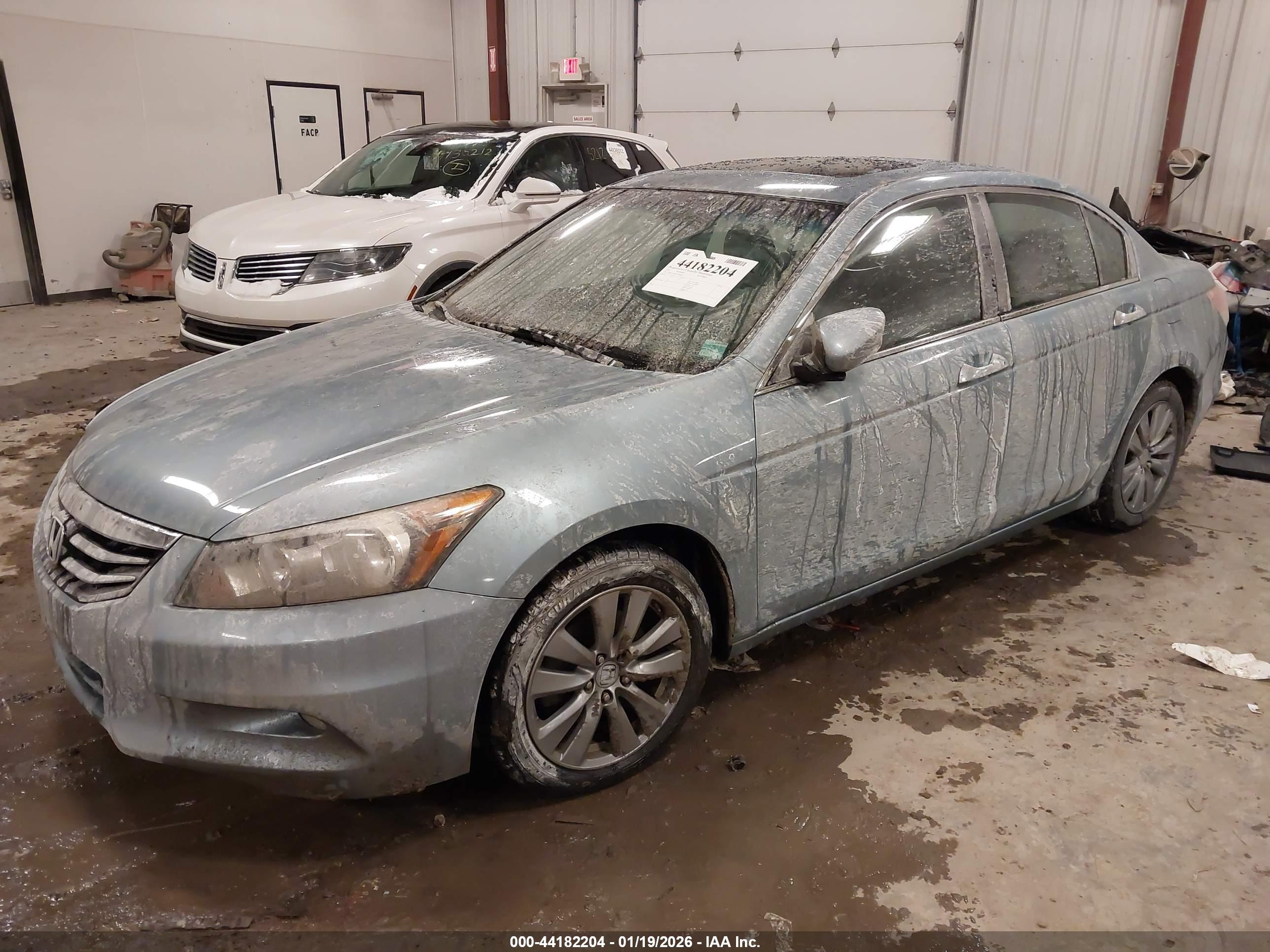 HONDA ACCORD image 2