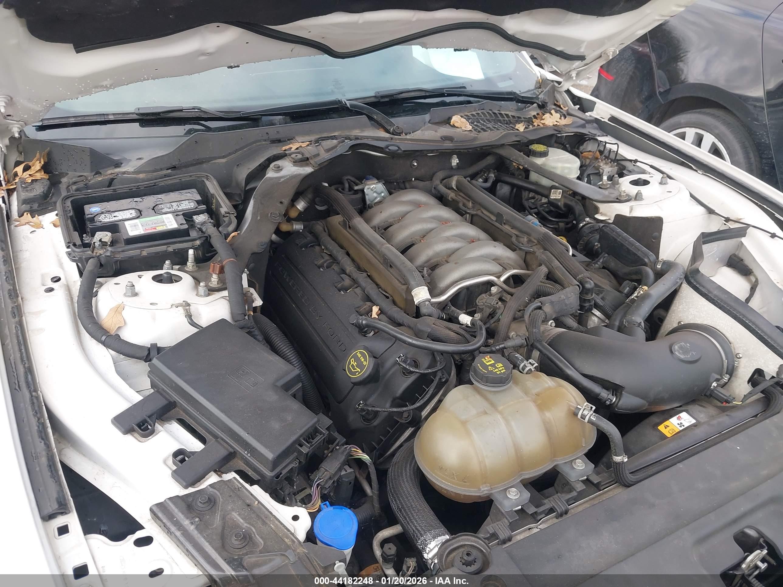 FORD MUSTANG image 10