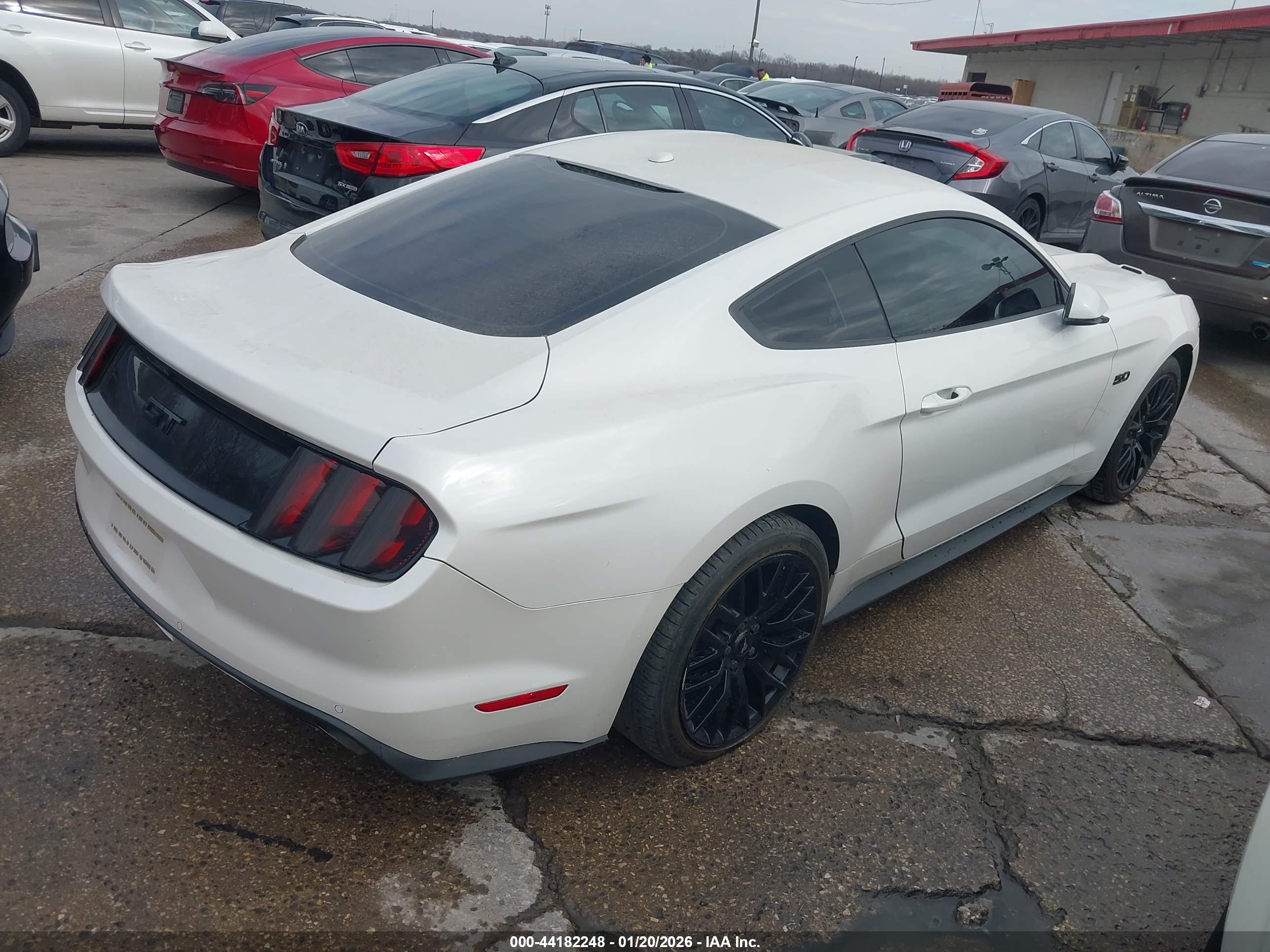FORD MUSTANG image 4