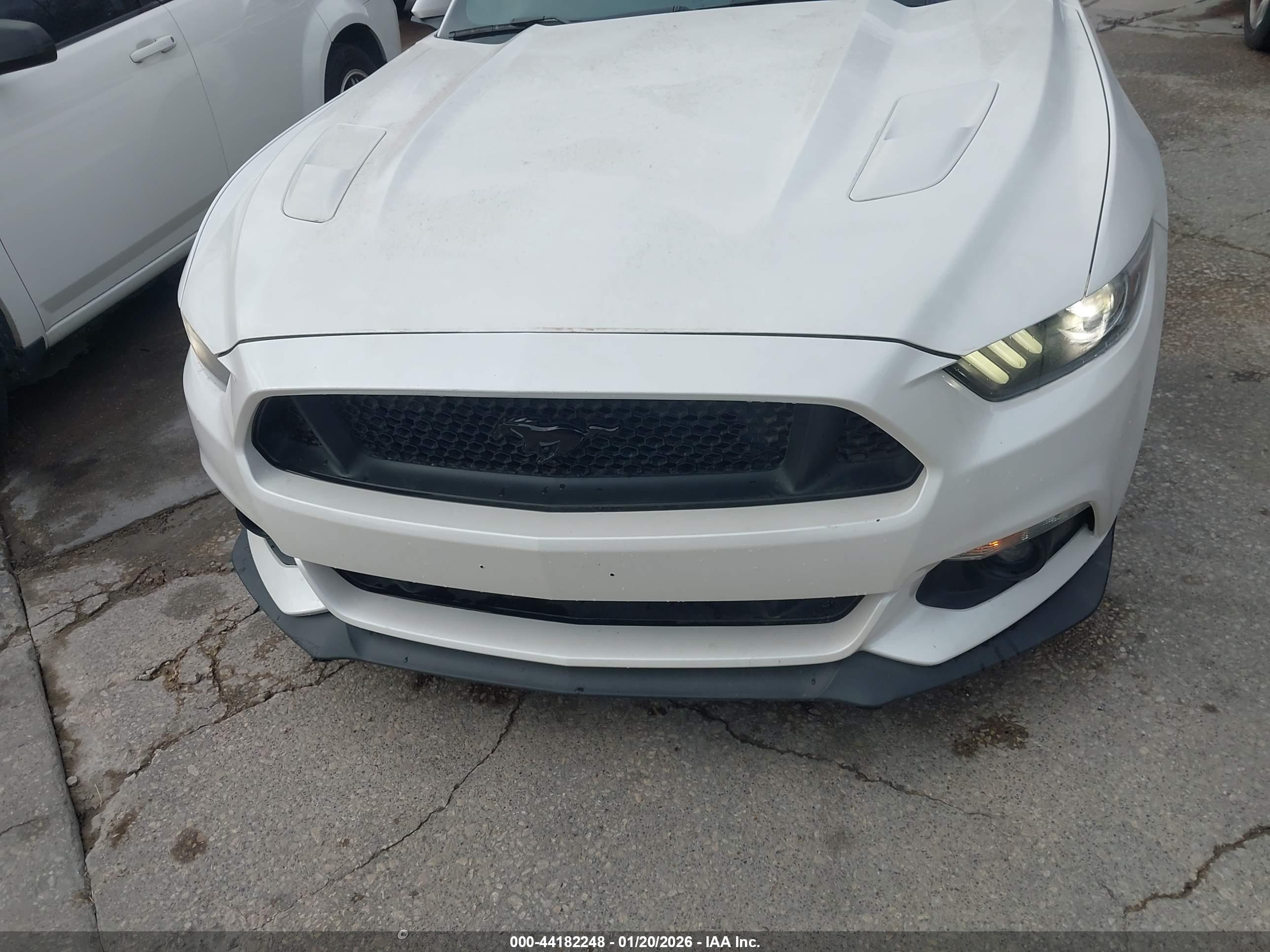 FORD MUSTANG image 6