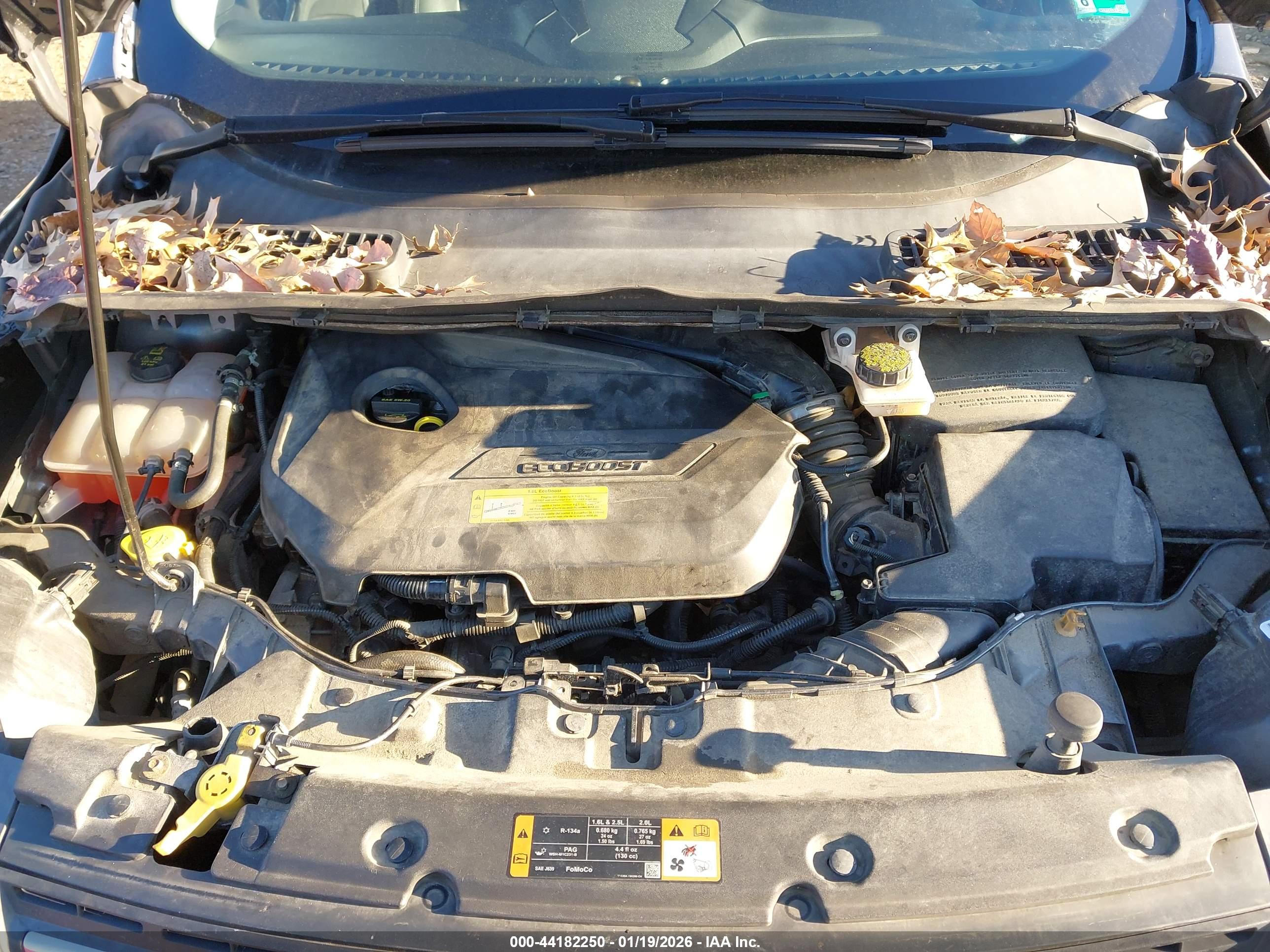 FORD ESCAPE image 10