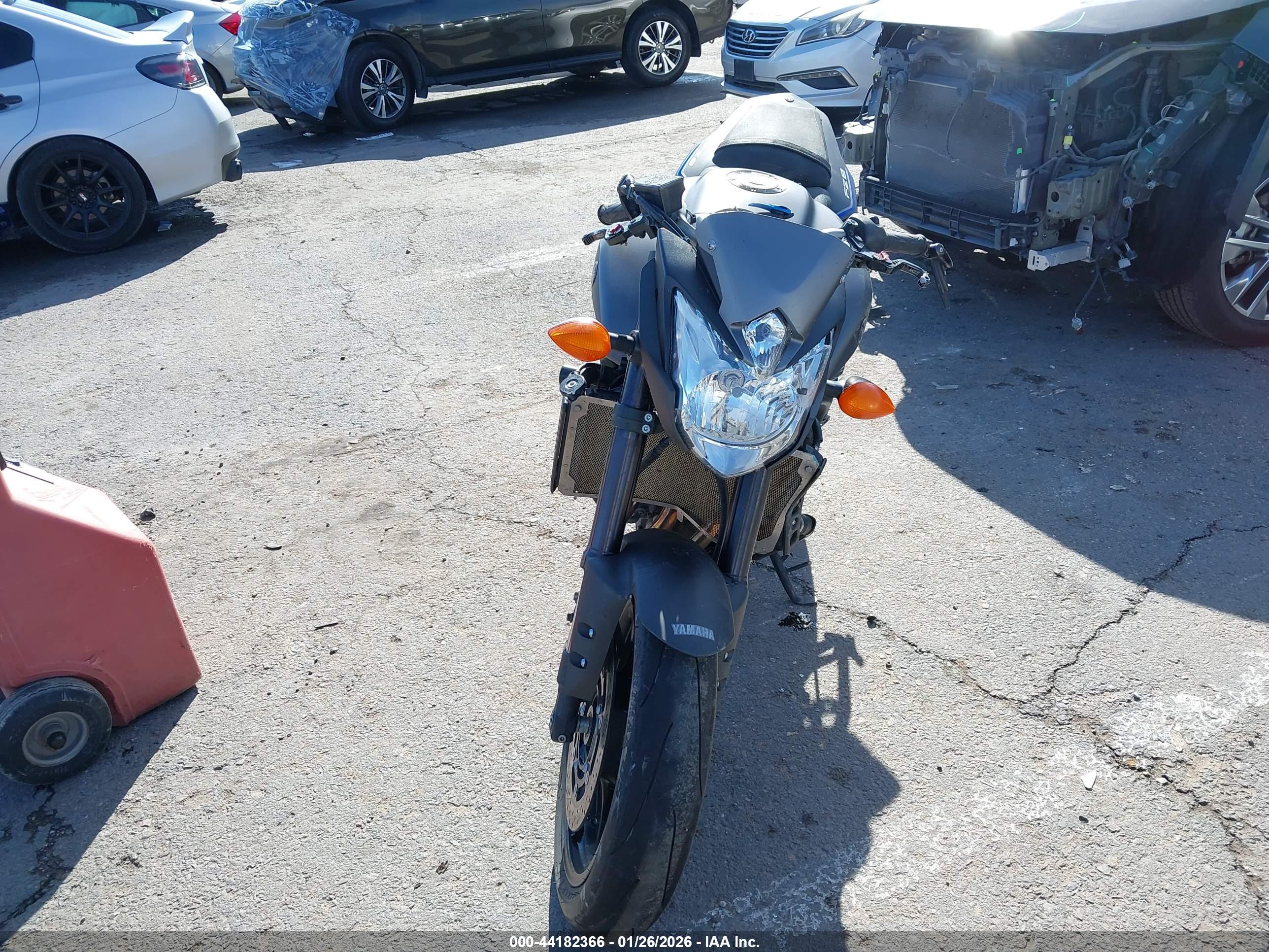 YAMAHA FZ8 image 5
