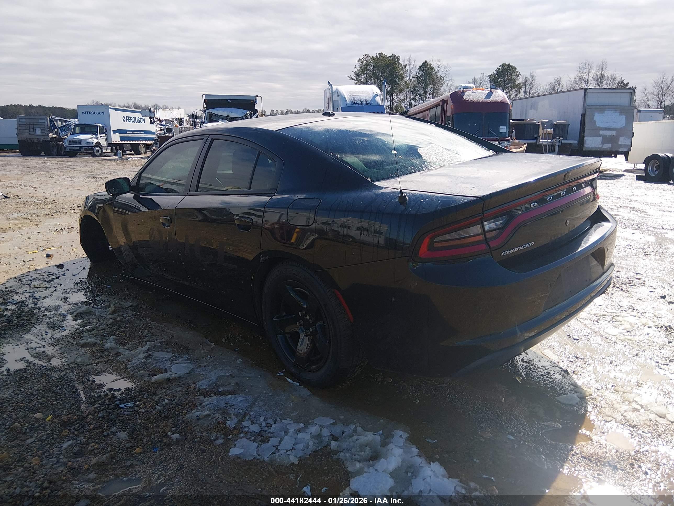 DODGE CHARGER image 3