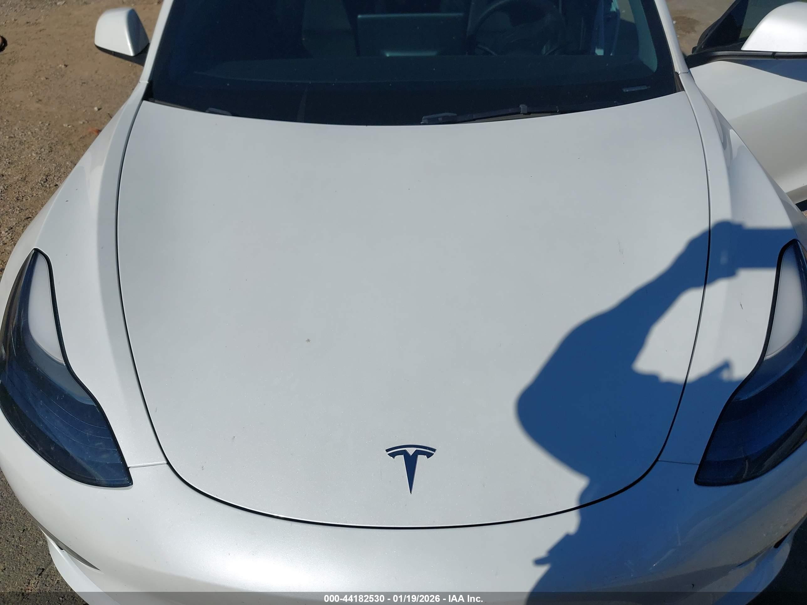 TESLA MODEL image 10