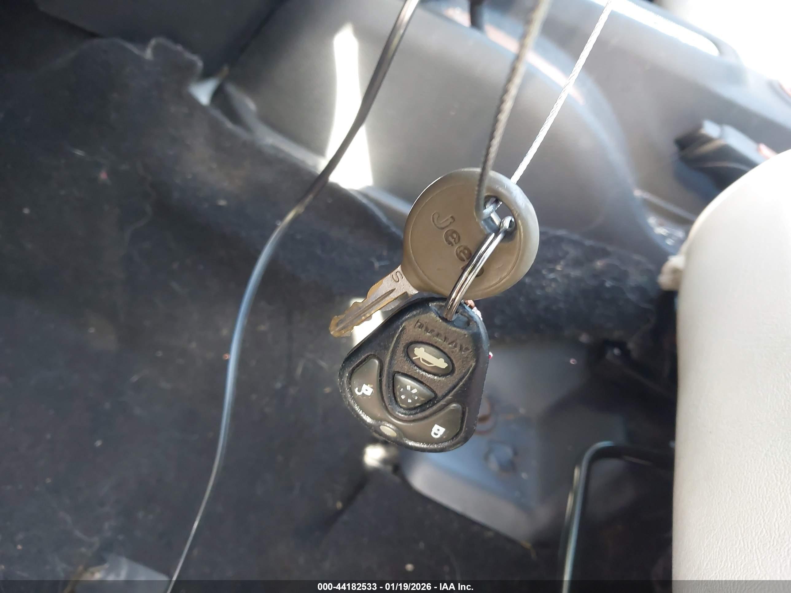 JEEP WRANGLER image 11