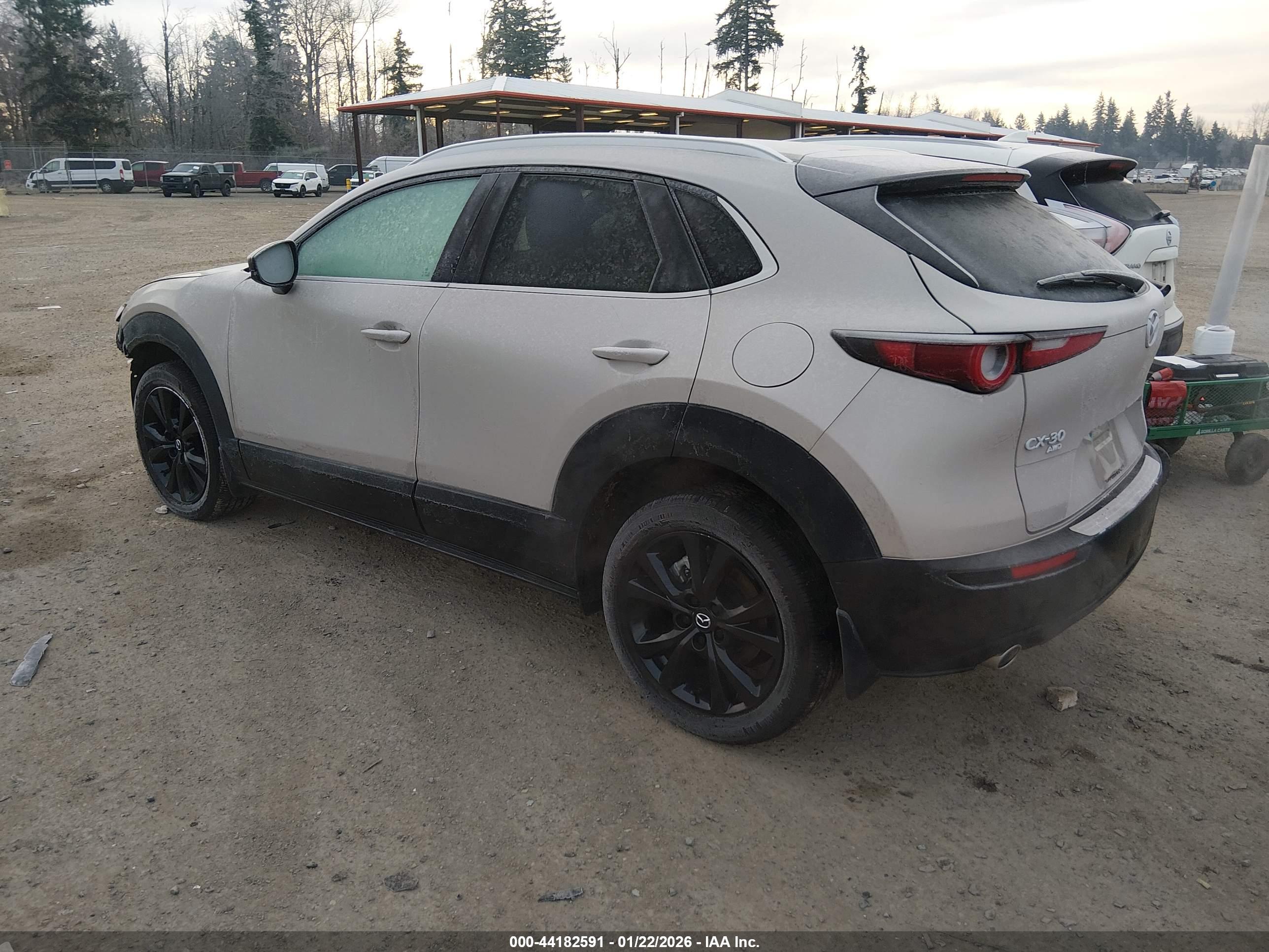 MAZDA CX-30 image 3