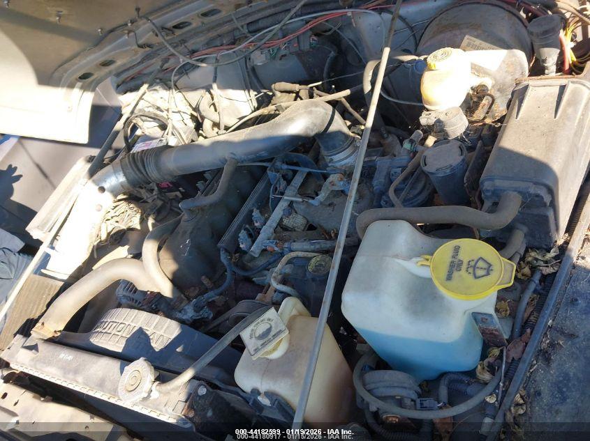 JEEP WRANGLER image 10