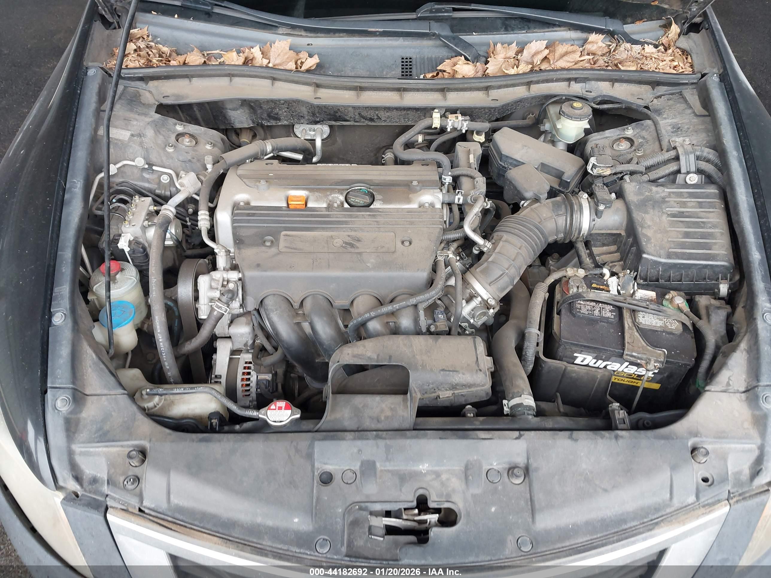 HONDA ACCORD image 10
