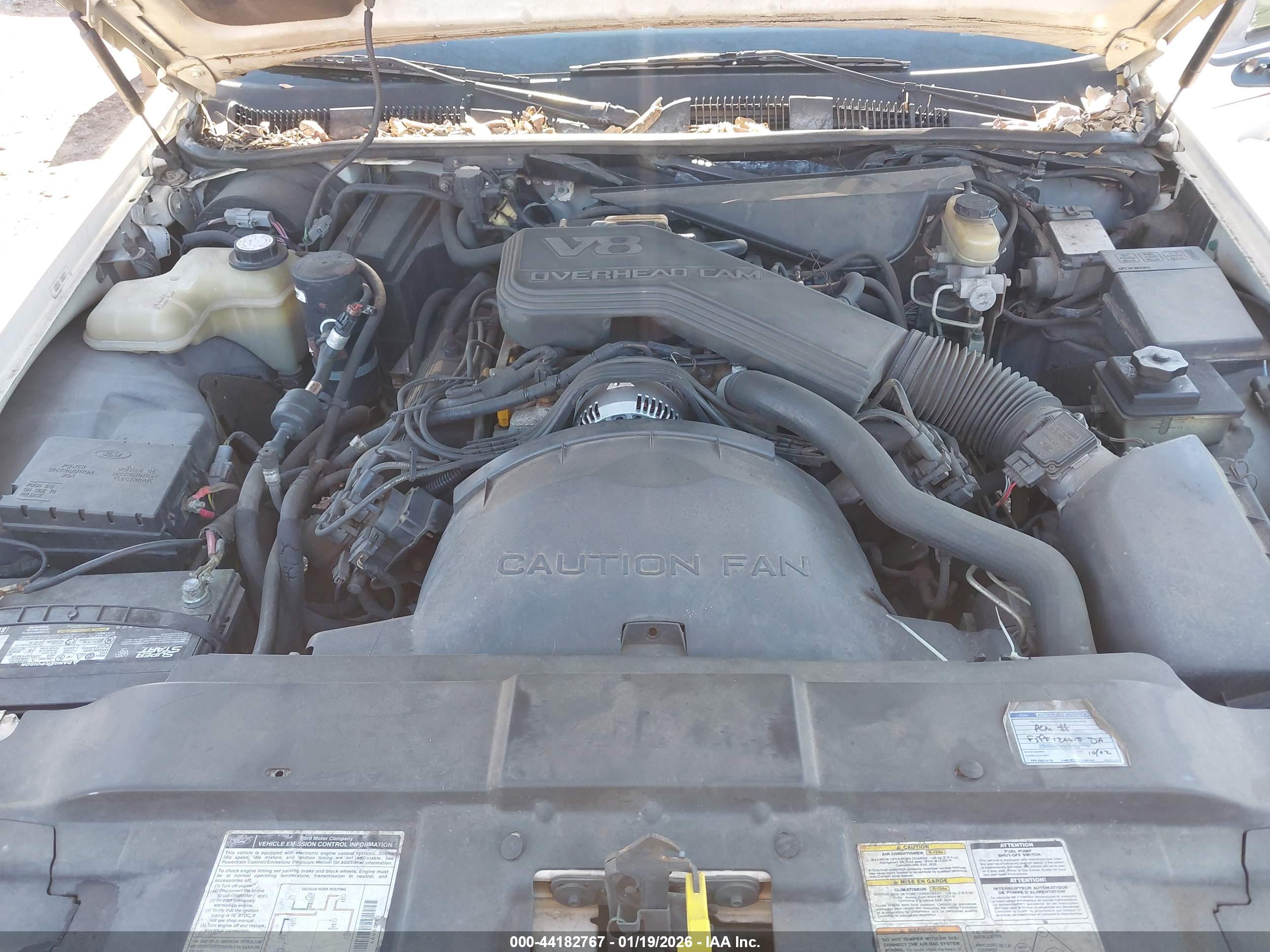 LINCOLN TOWN image 10