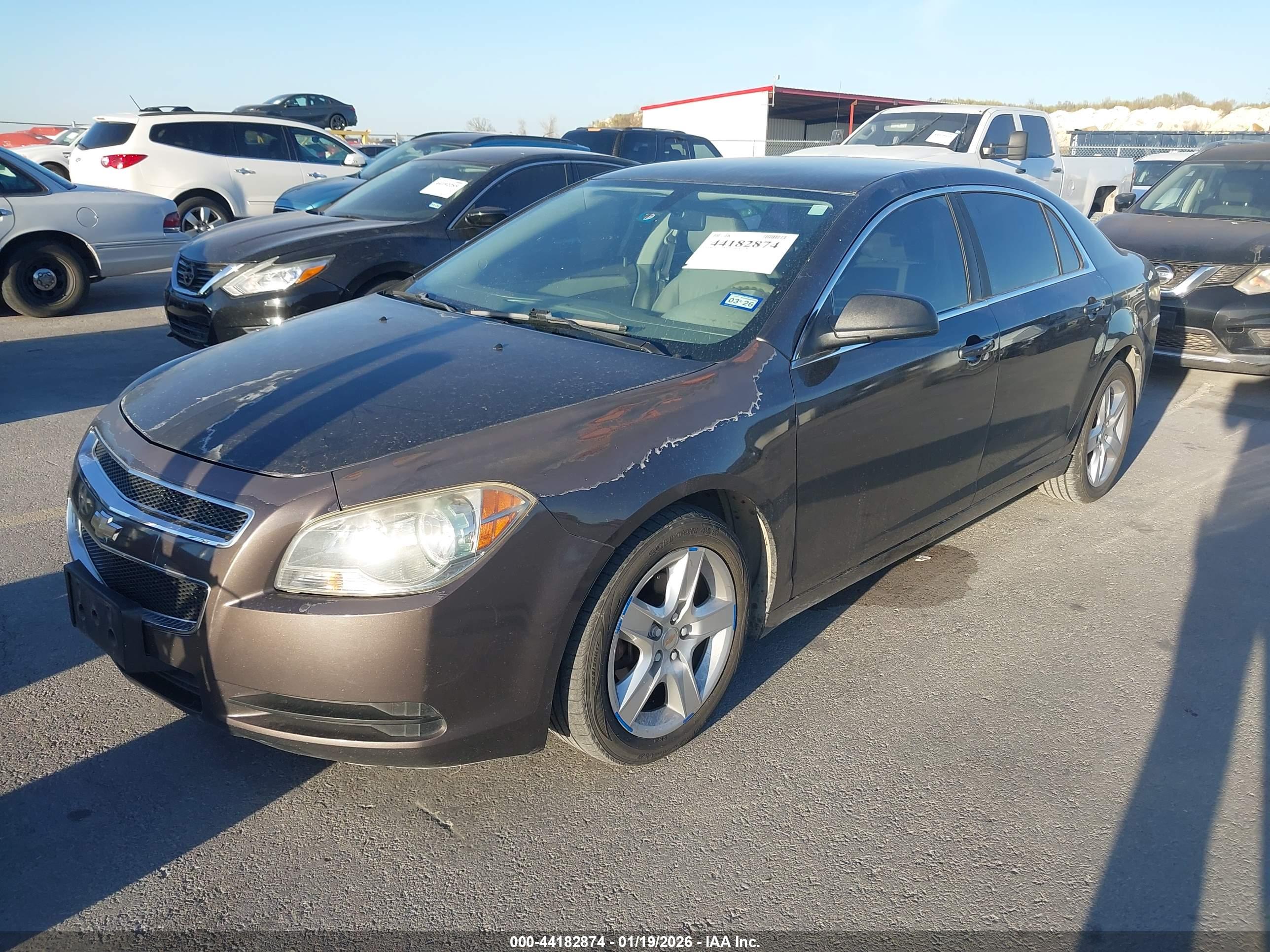 CHEVROLET MALIBU image 2