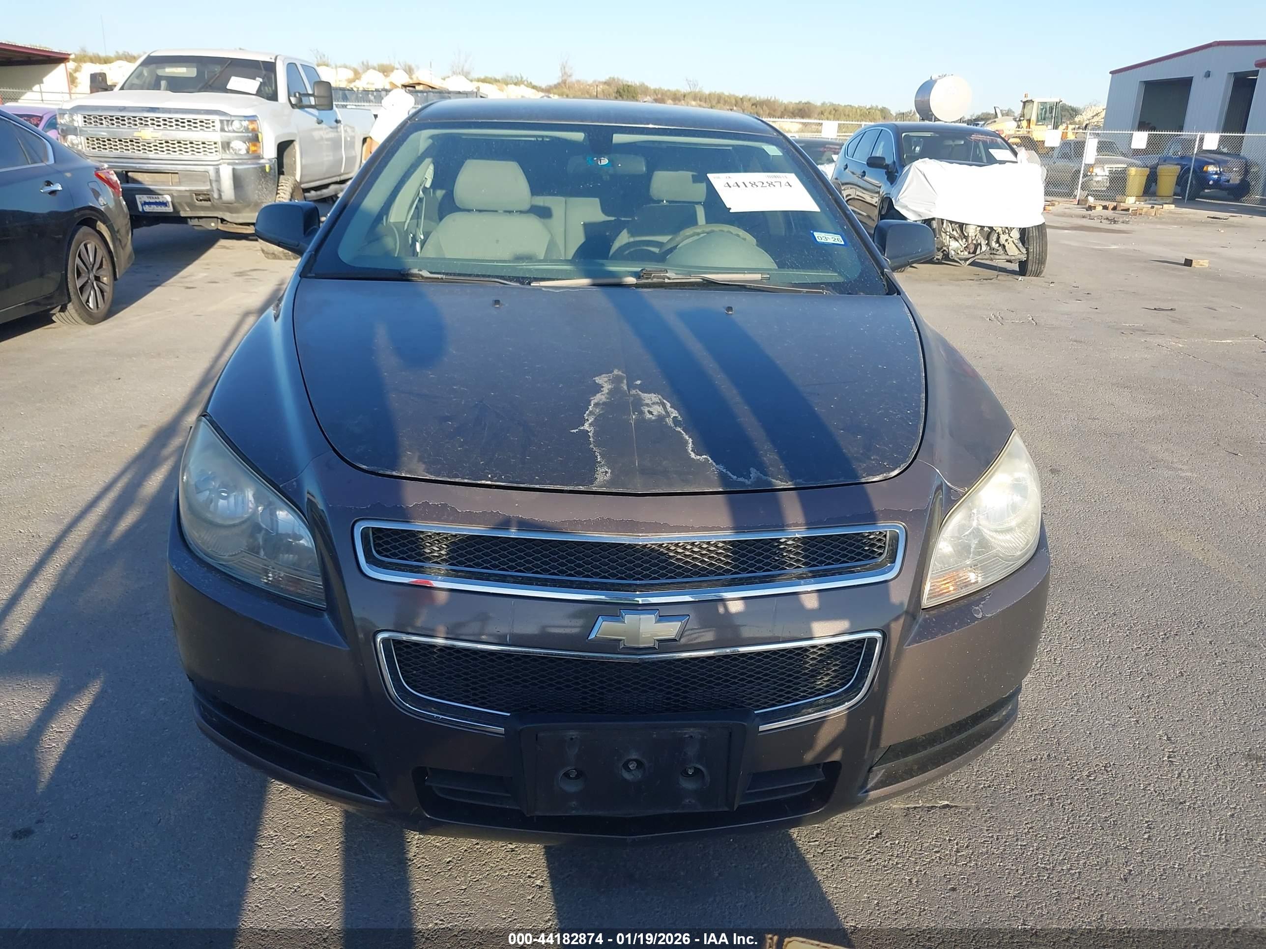 CHEVROLET MALIBU image 6