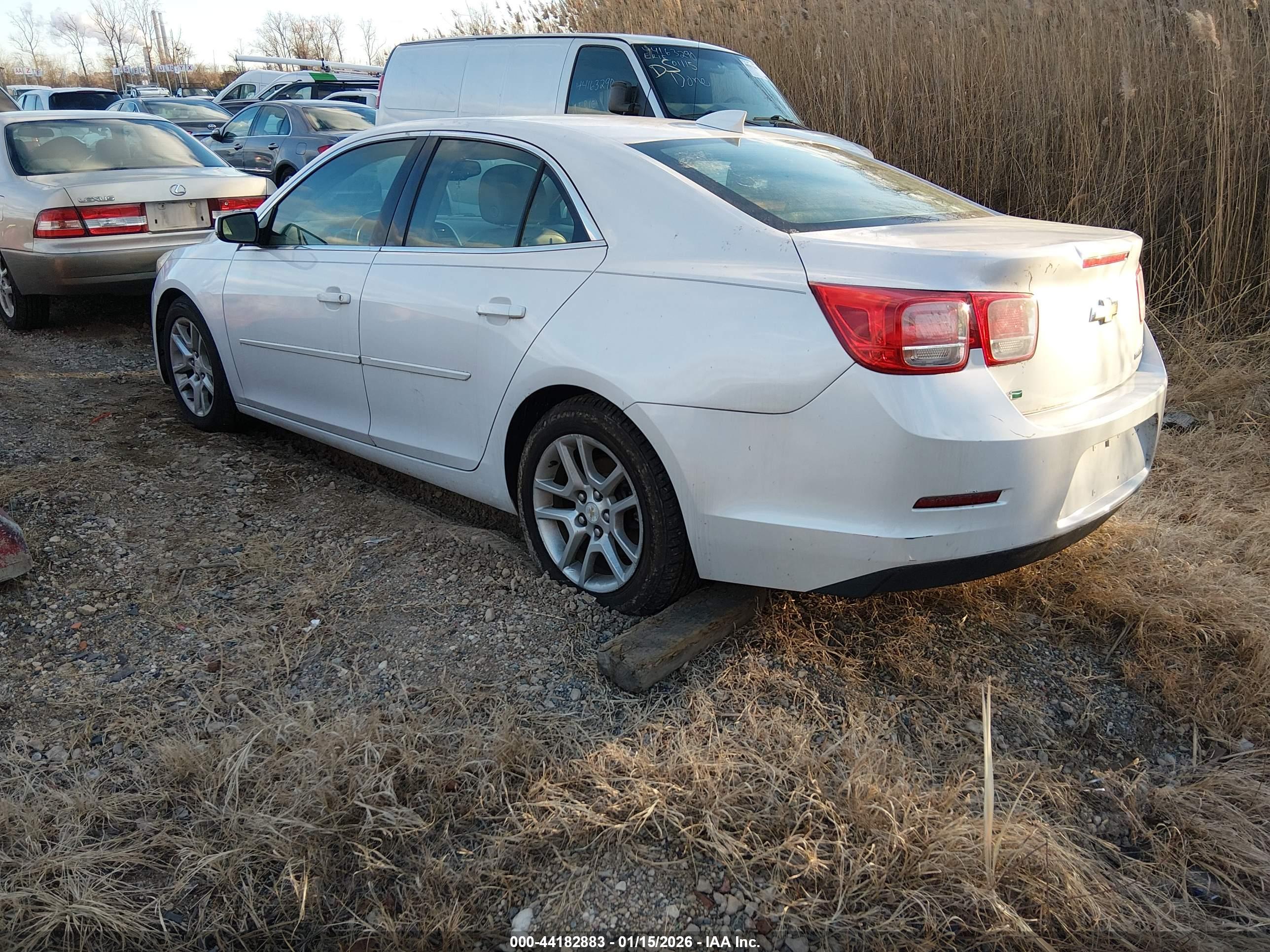 CHEVROLET MALIBU image 3