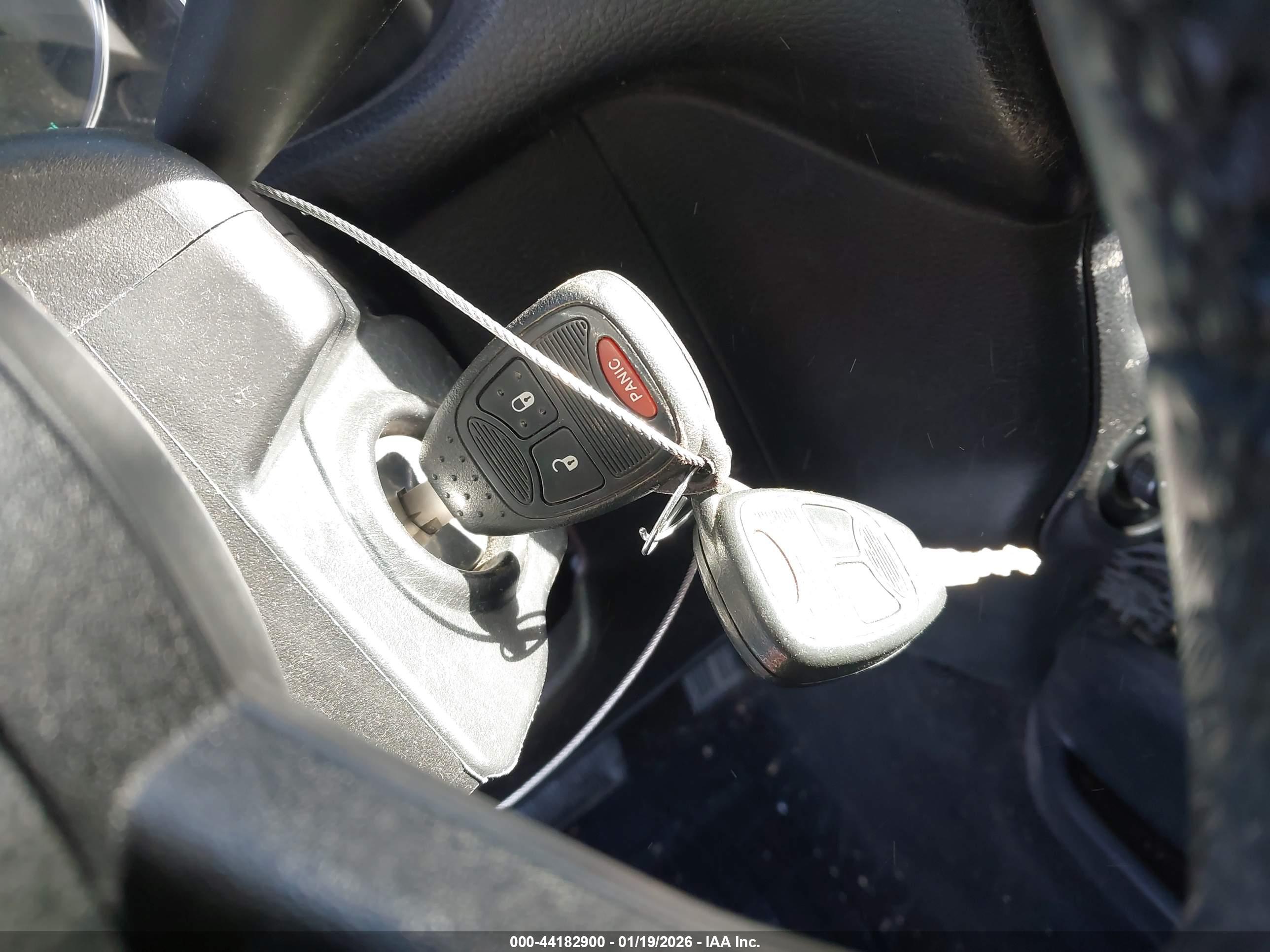 JEEP WRANGLER image 11