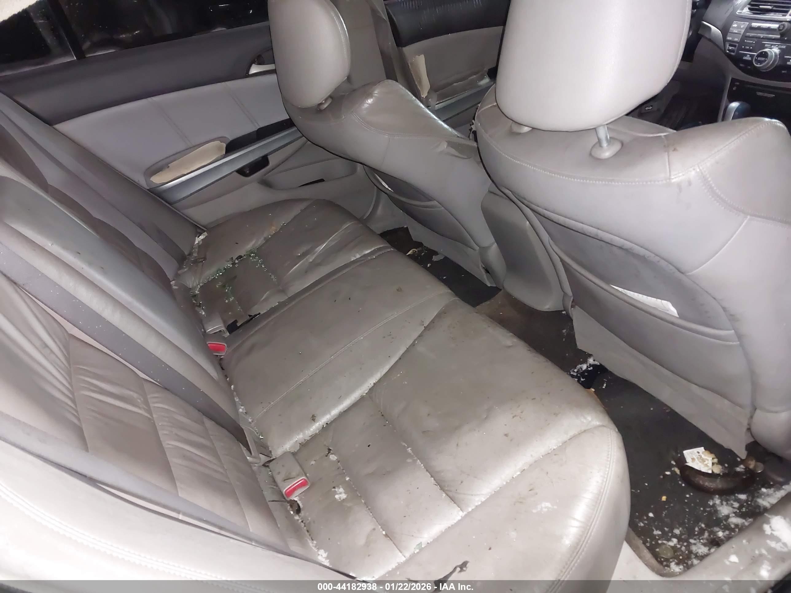 HONDA ACCORD image 8