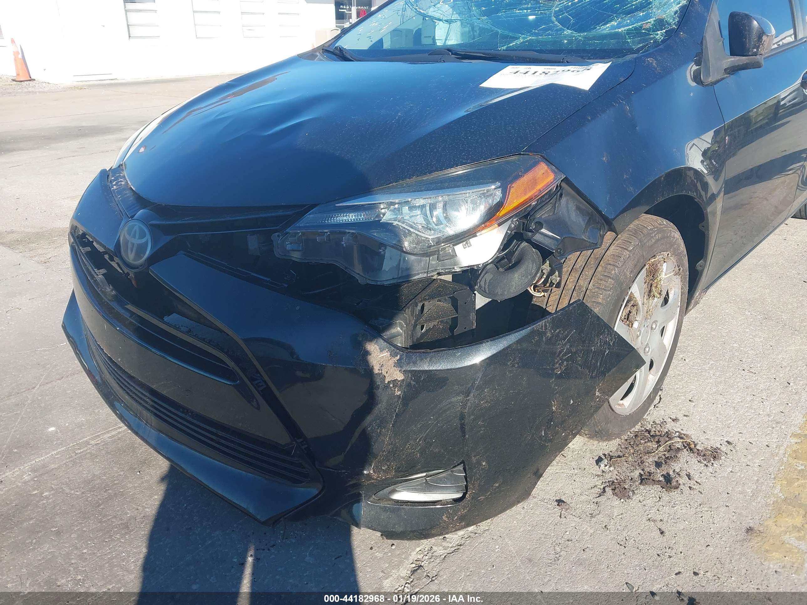 TOYOTA COROLLA image 6