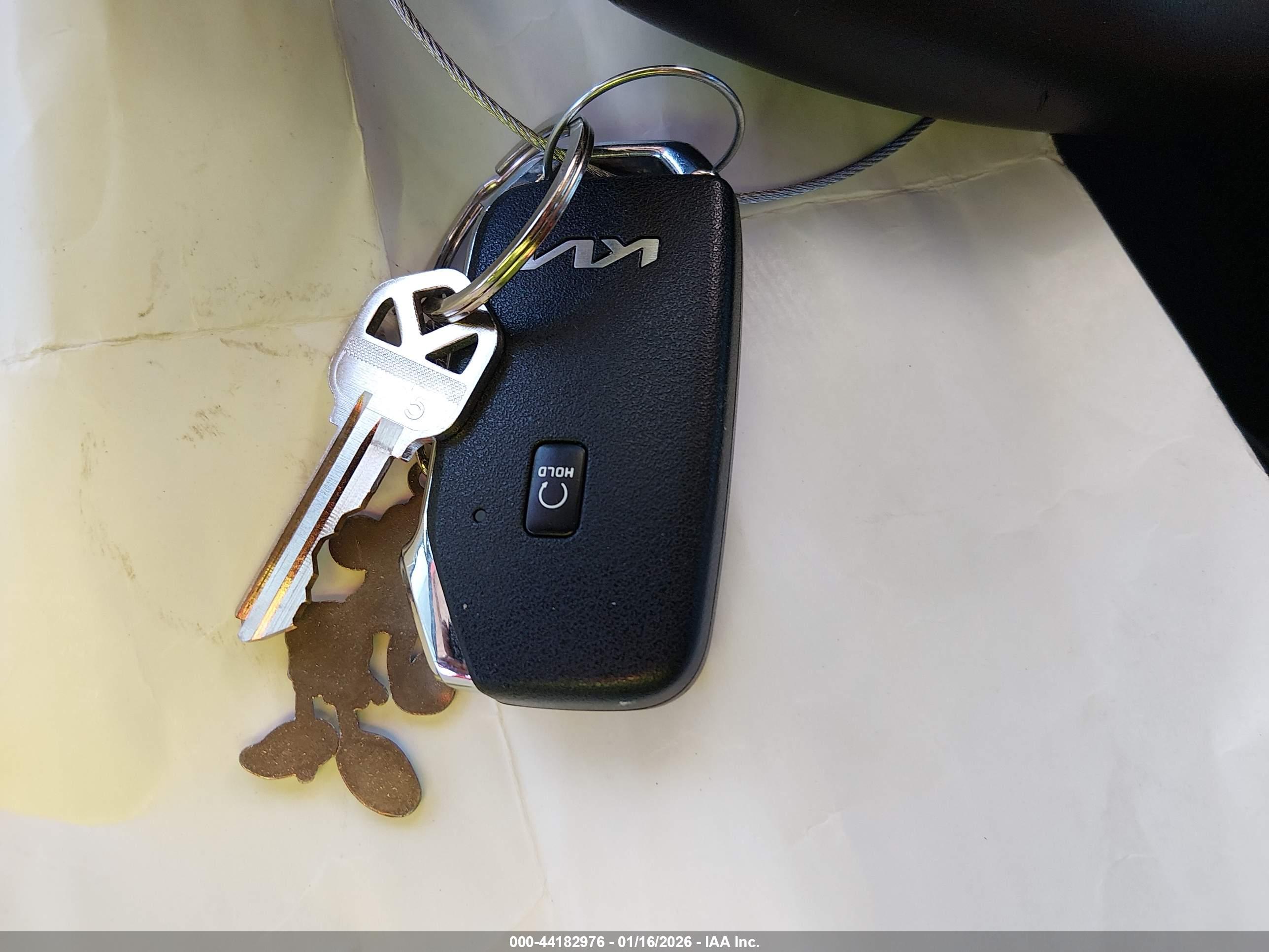 KIA SPORTAGE image 11