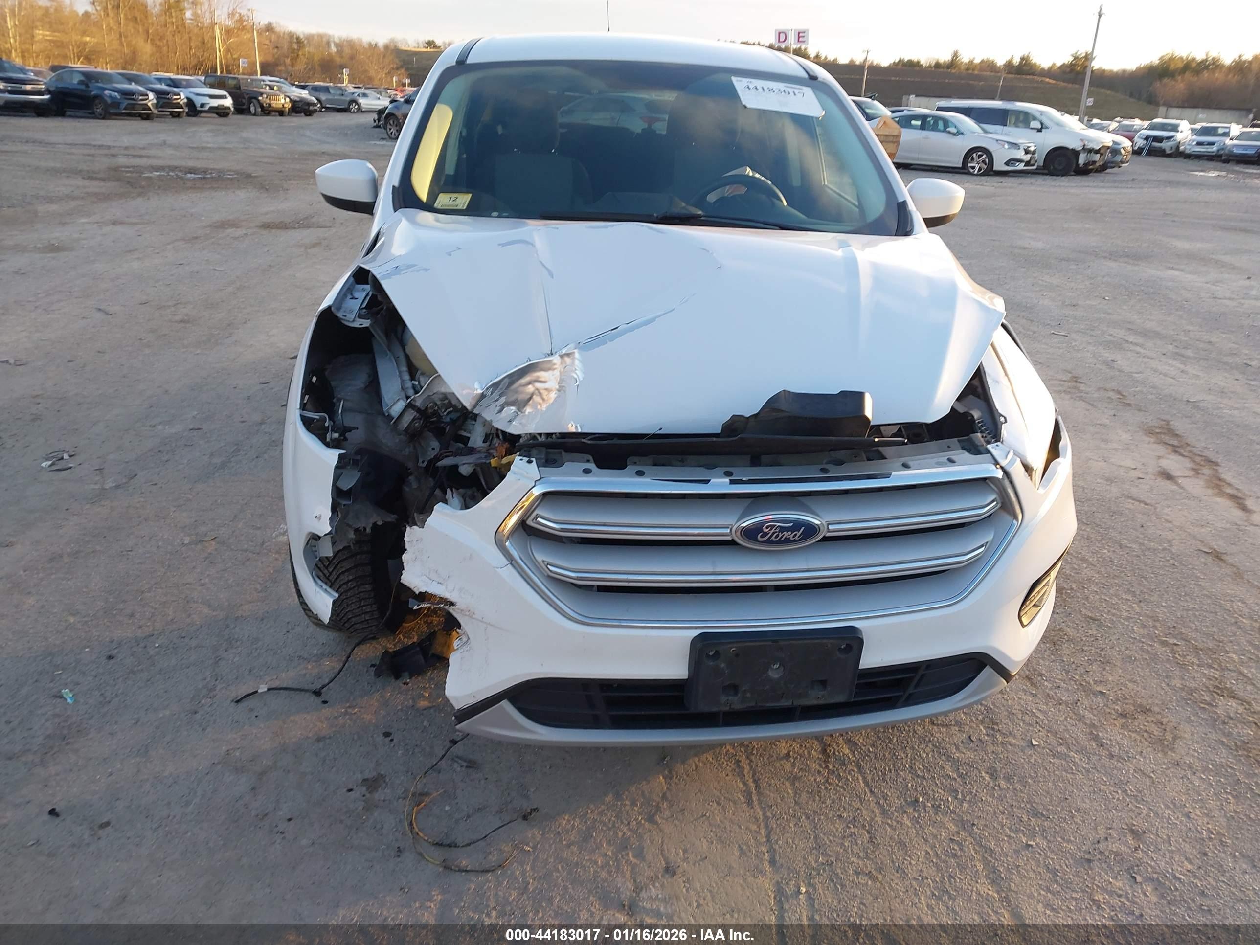 FORD ESCAPE image 6