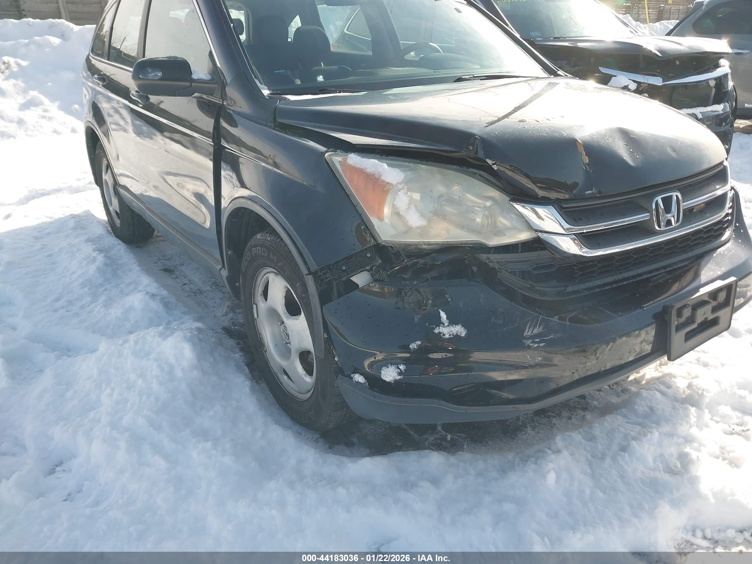 HONDA CR-V image 6