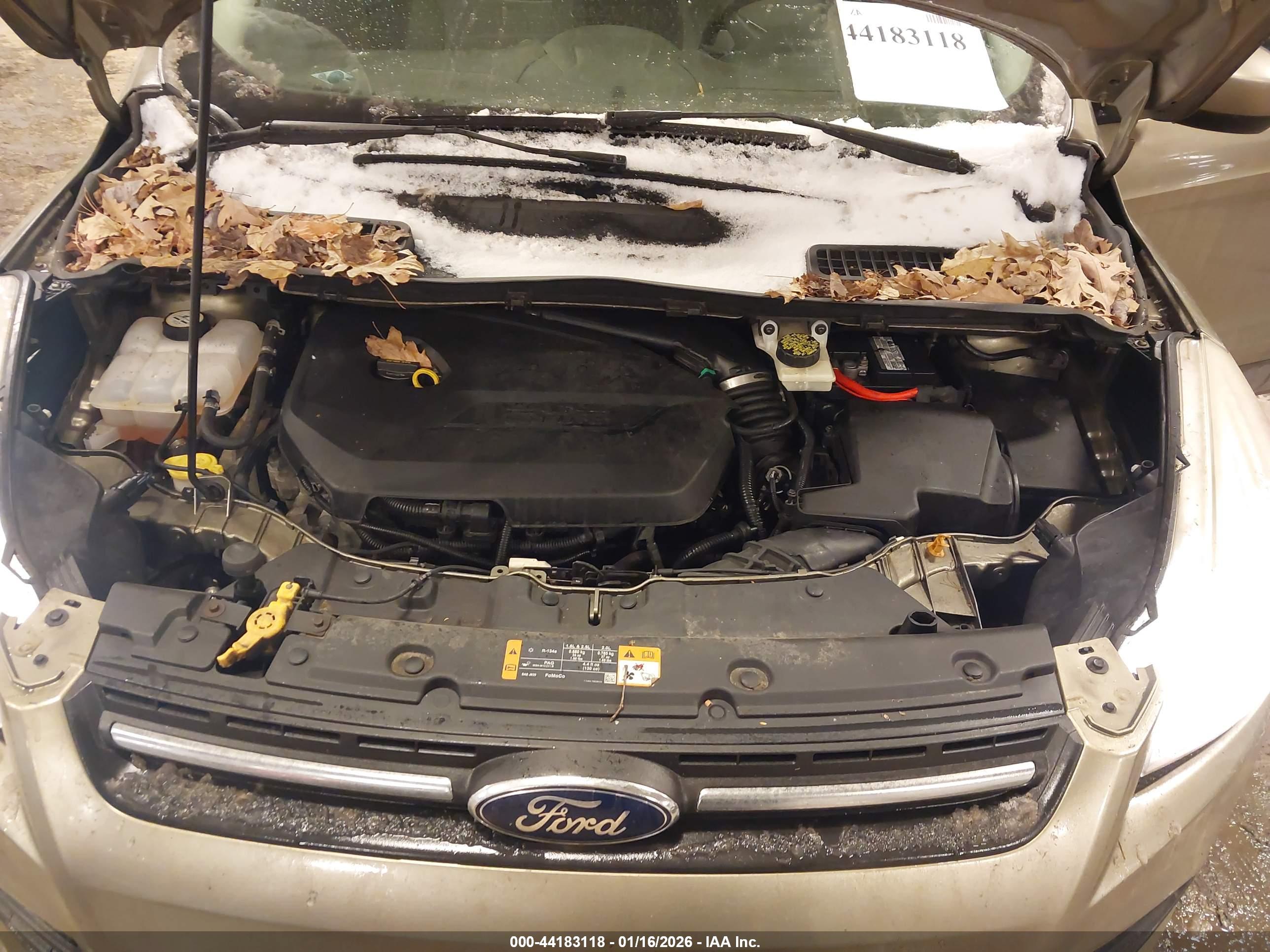 FORD ESCAPE image 10