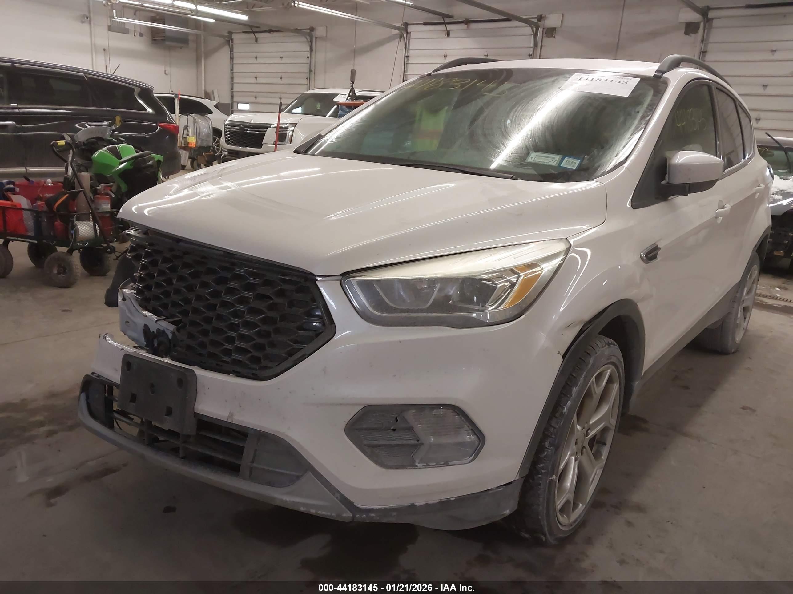 FORD ESCAPE image 2