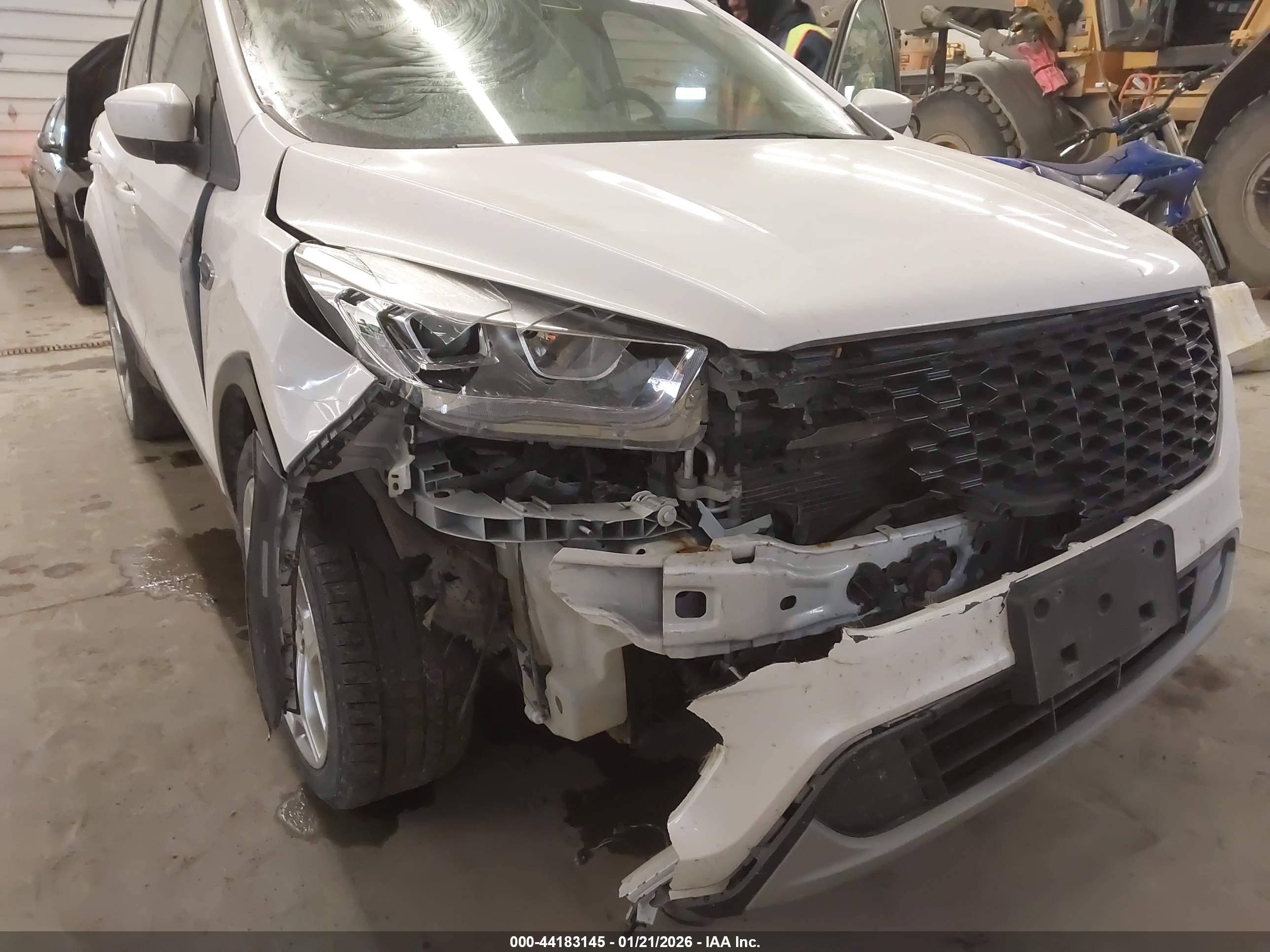 FORD ESCAPE image 6