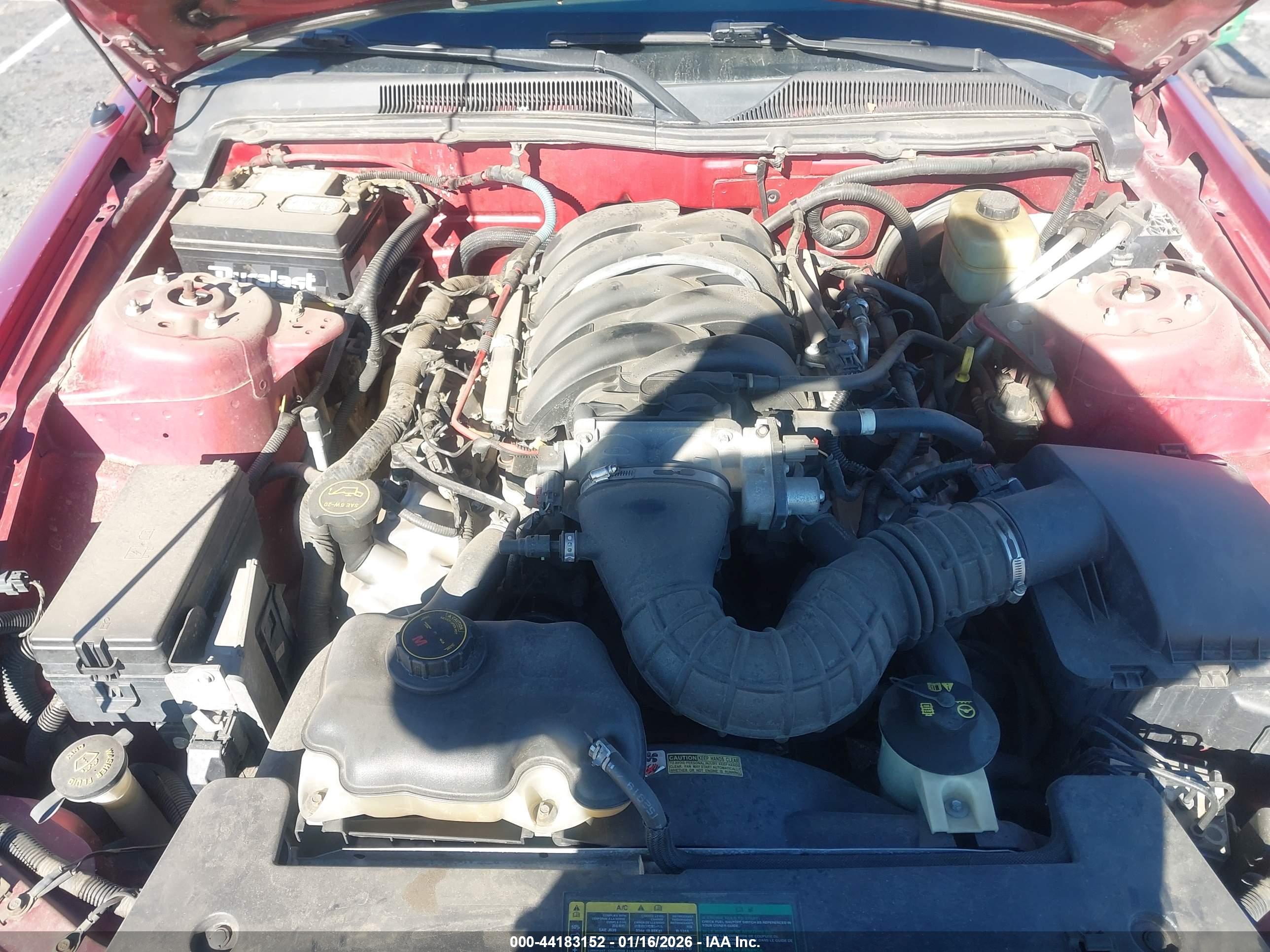 FORD MUSTANG image 10