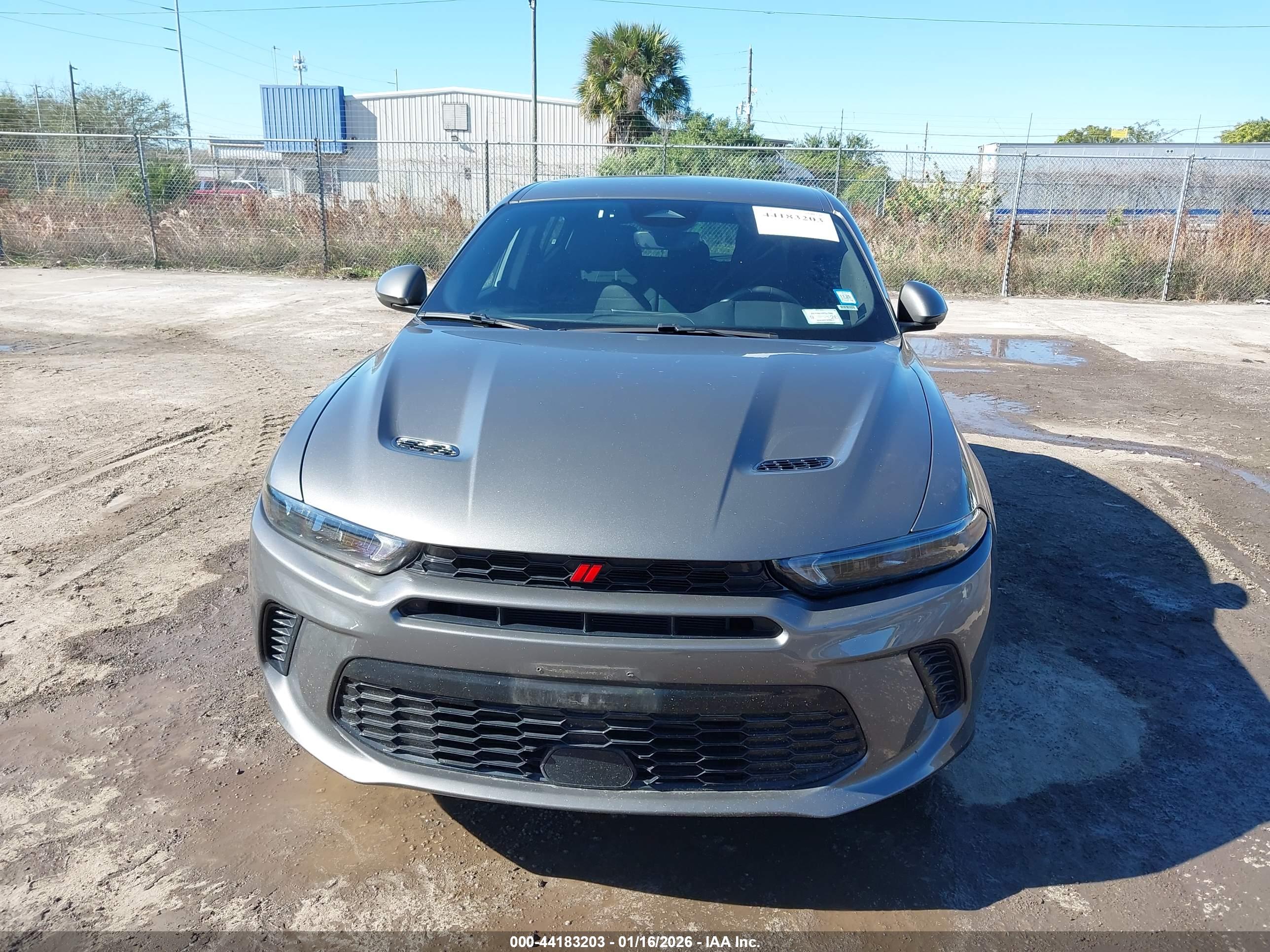DODGE HORNET image 6