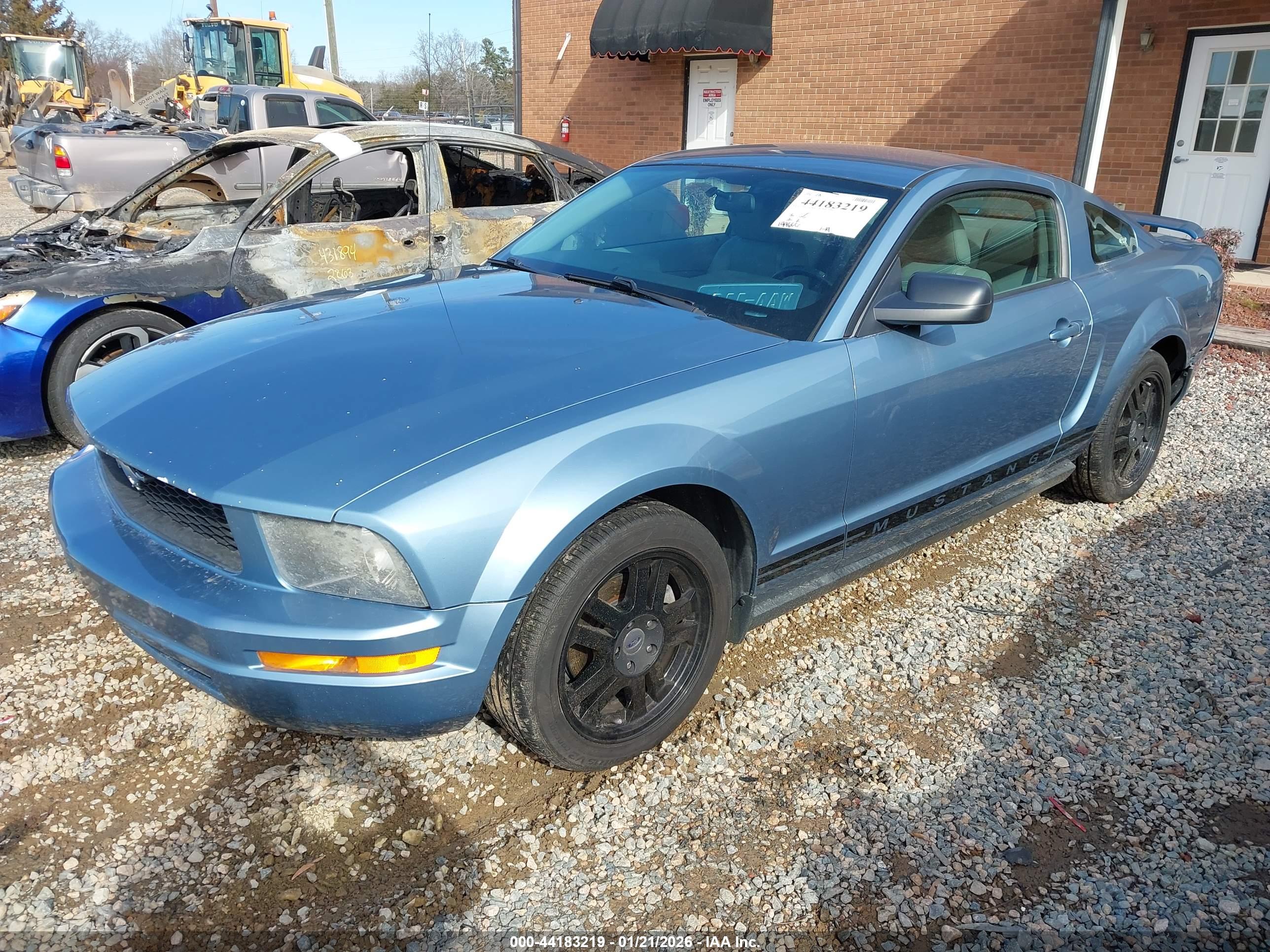 FORD MUSTANG image 2