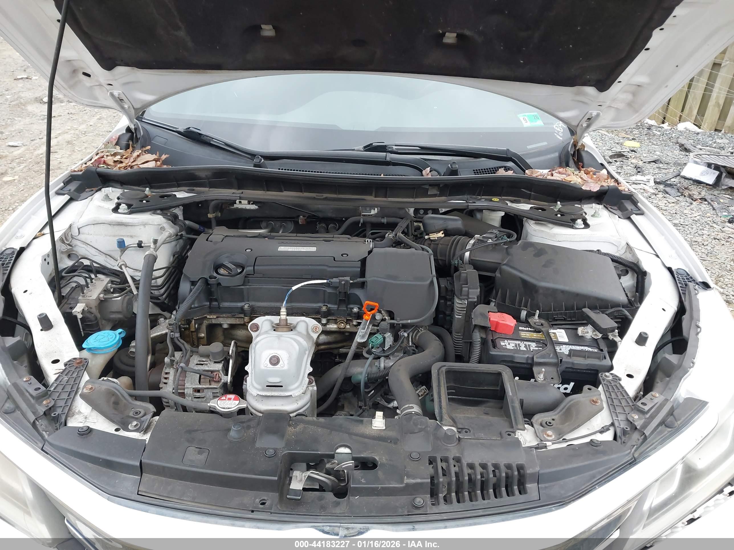HONDA ACCORD image 10