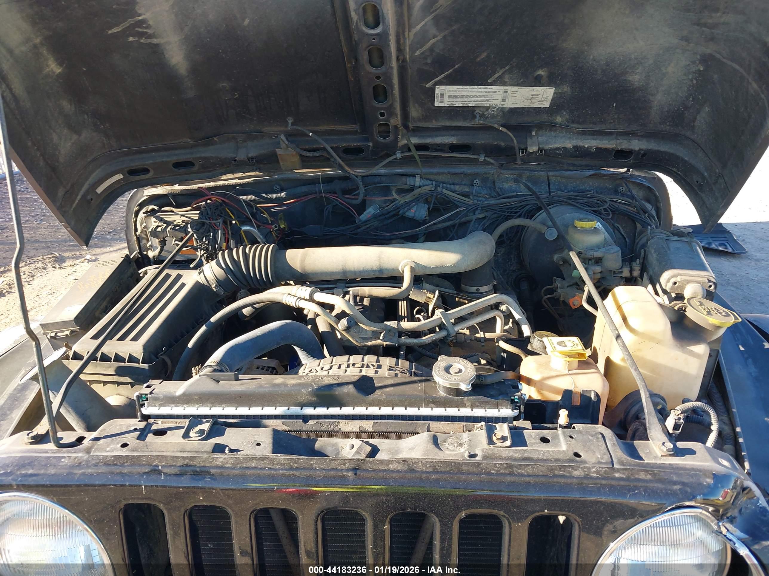 JEEP WRANGLER image 10