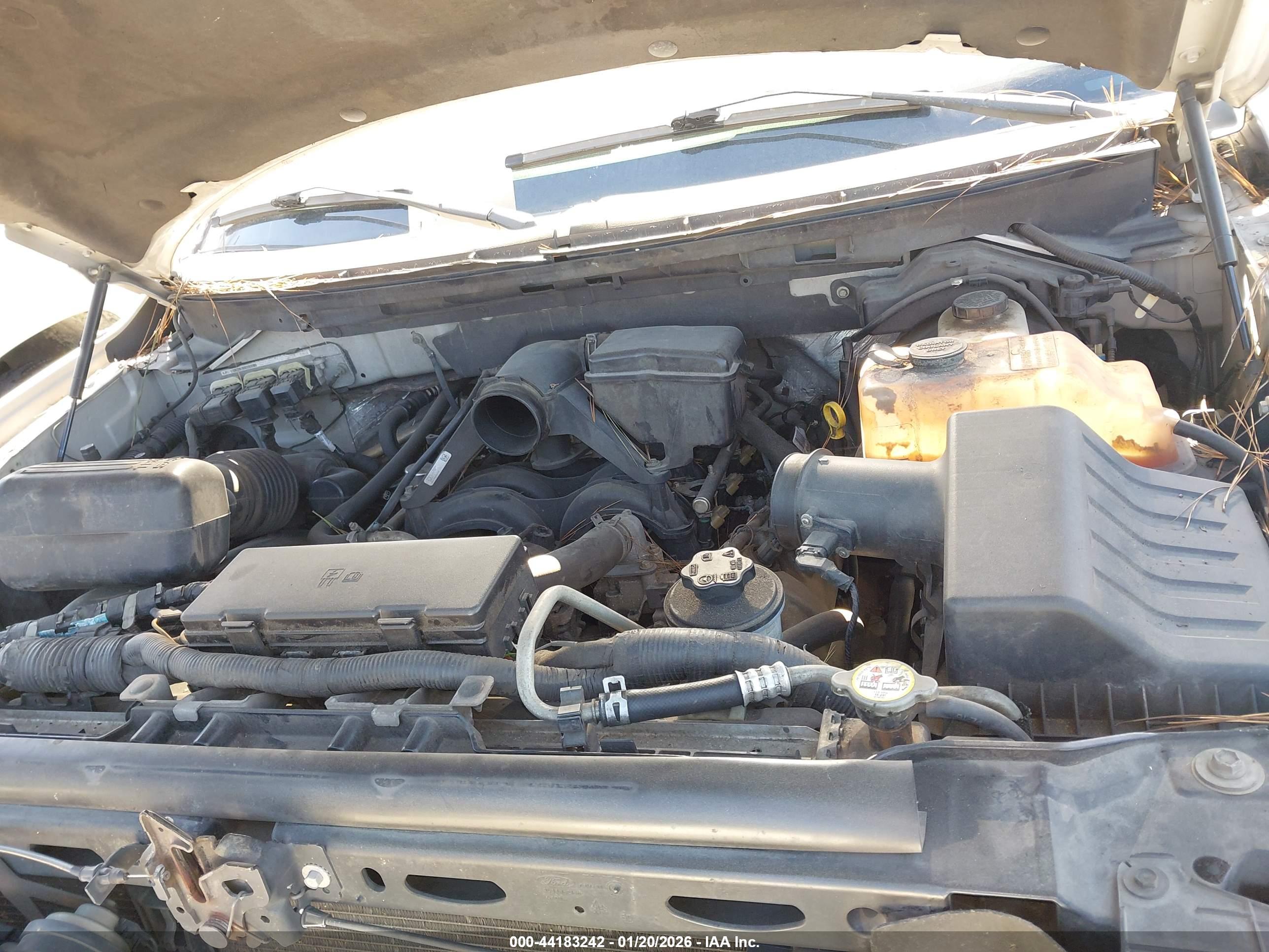 FORD F-150 image 10
