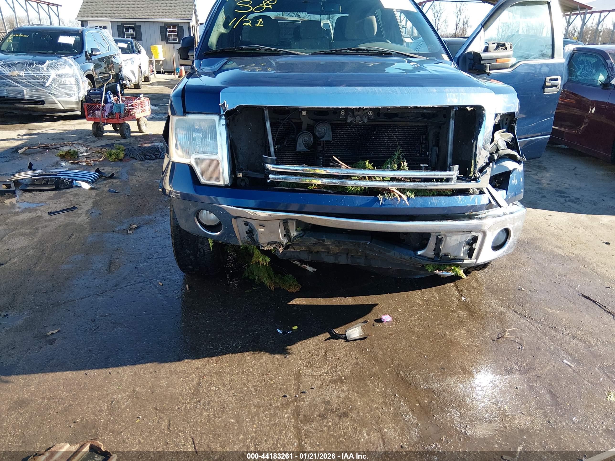 FORD F-150 image 6
