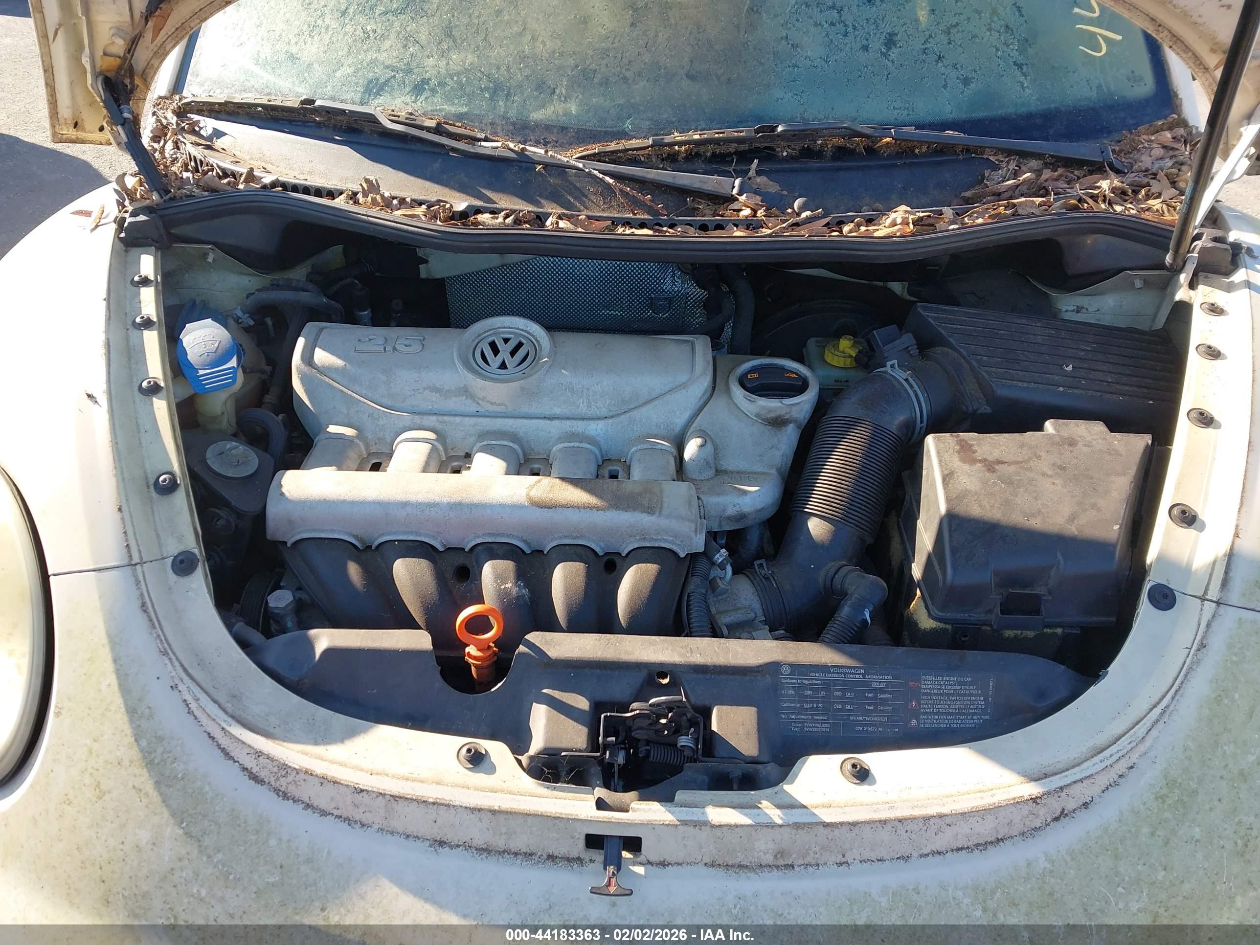VOLKSWAGEN NEW image 10