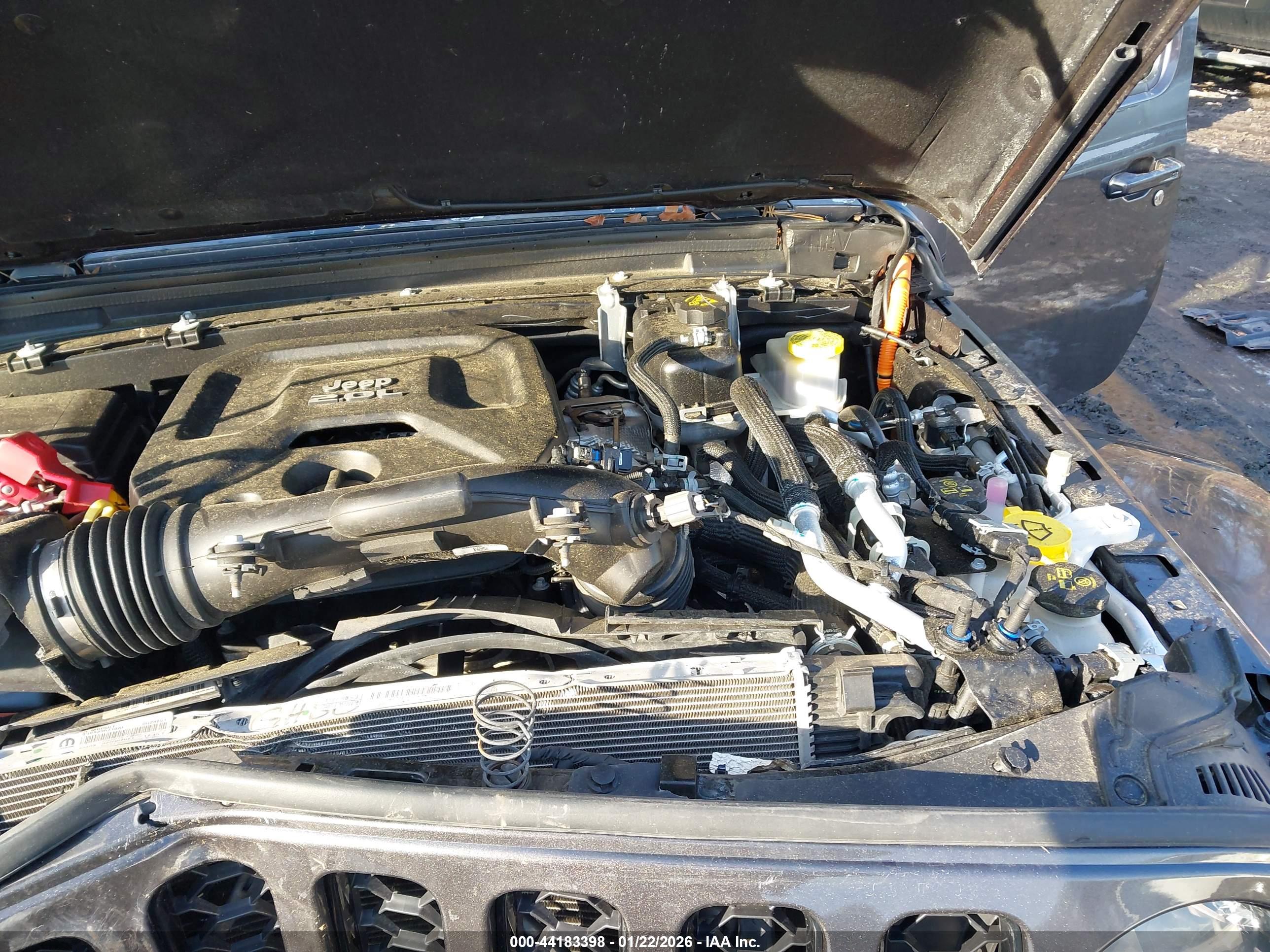 JEEP WRANGLER image 10