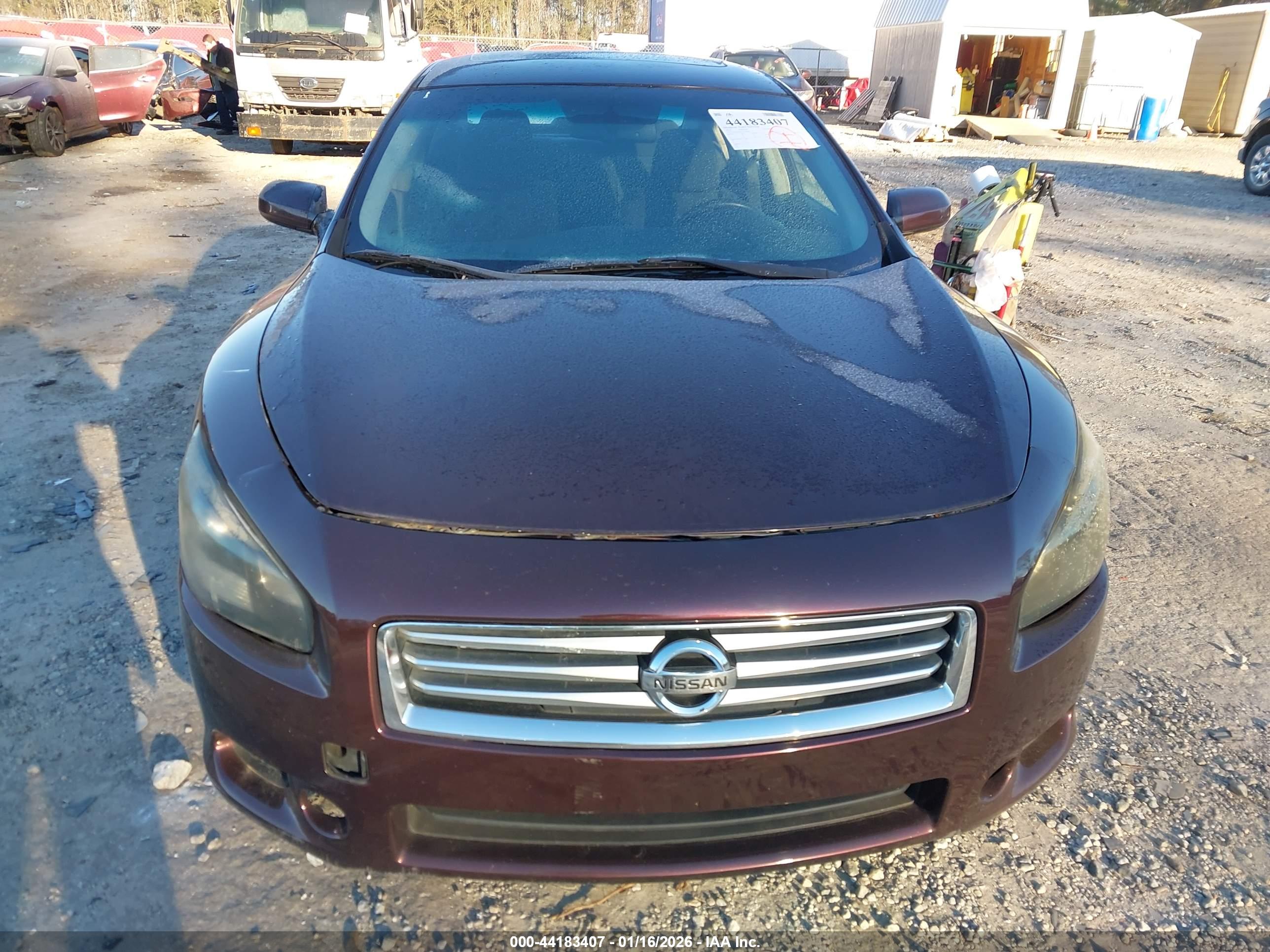 NISSAN MAXIMA image 6