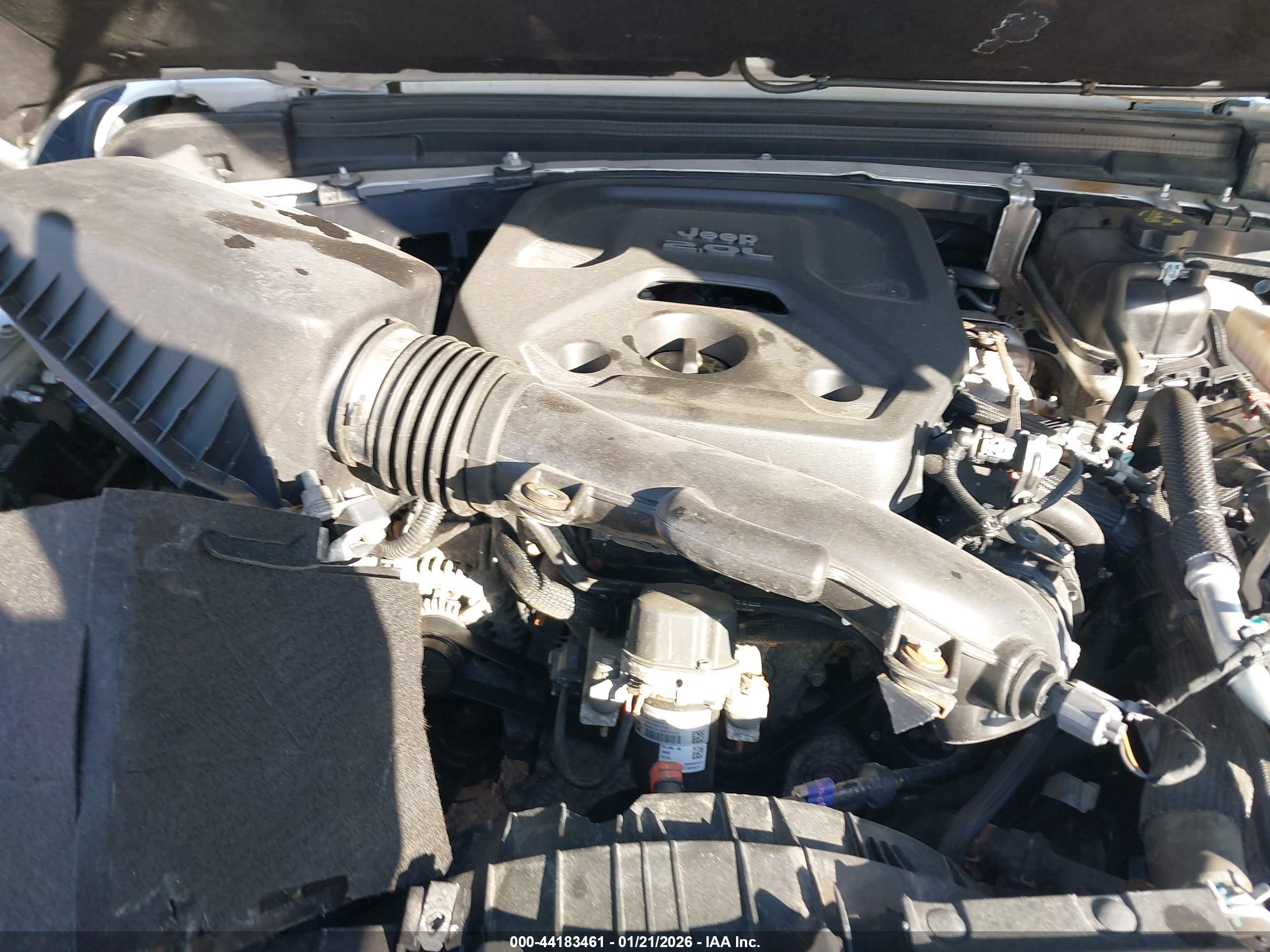 JEEP WRANGLER image 10