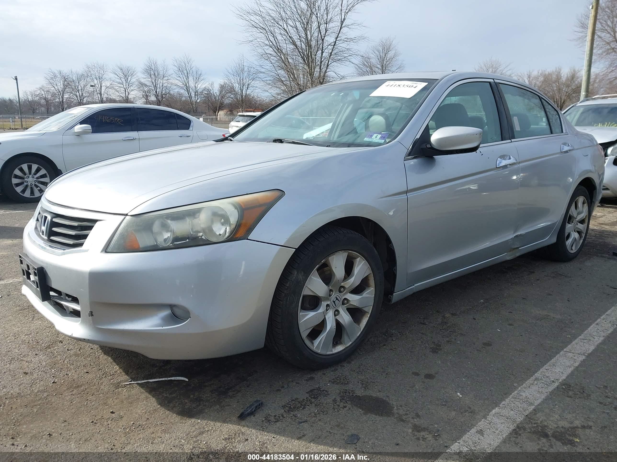 HONDA ACCORD image 2