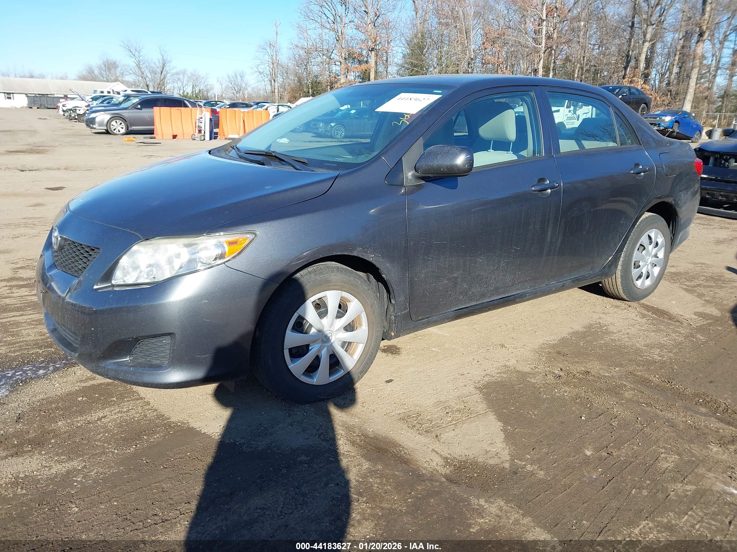 TOYOTA COROLLA image 2