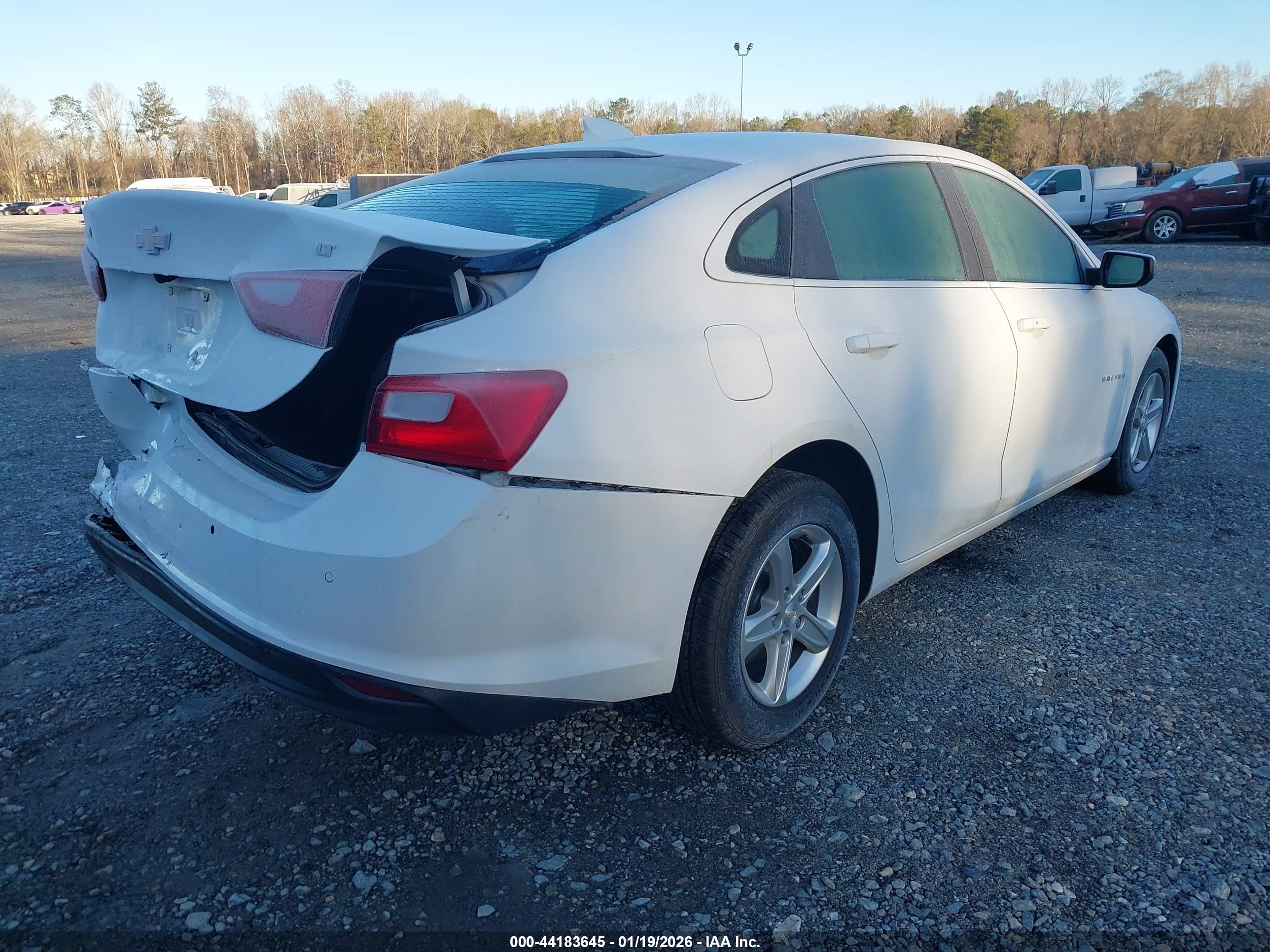CHEVROLET MALIBU image 4